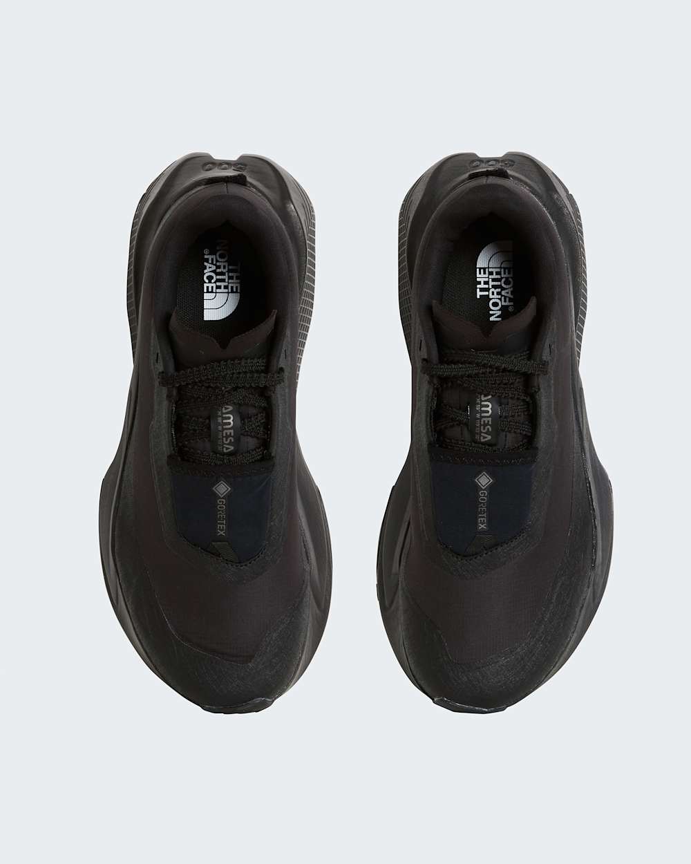 Womens Altamesa 500 V2 GORETEX Shoes TNF ALT1
