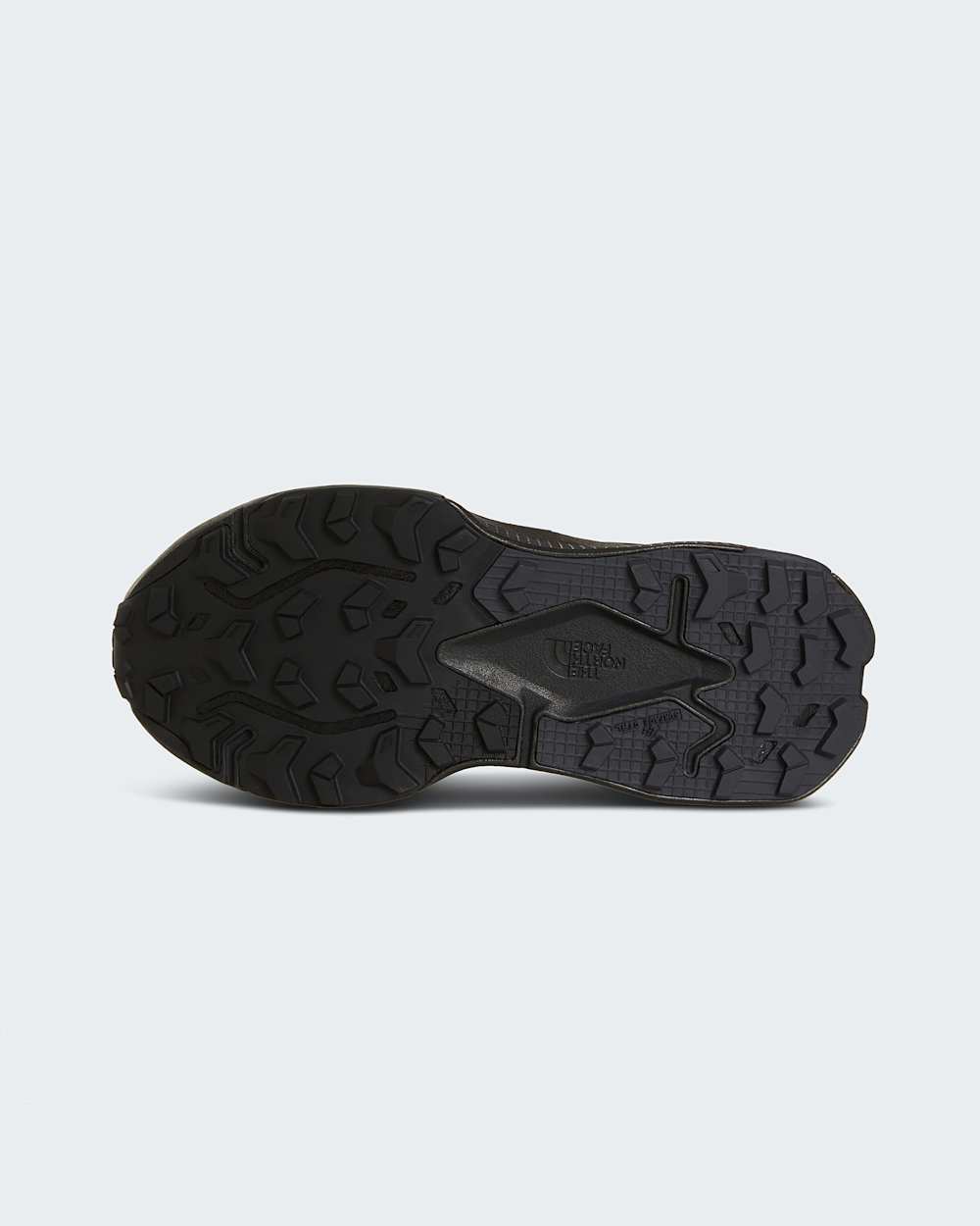 Womens Altamesa 500 V2 GORETEX Shoes TNF ALT7