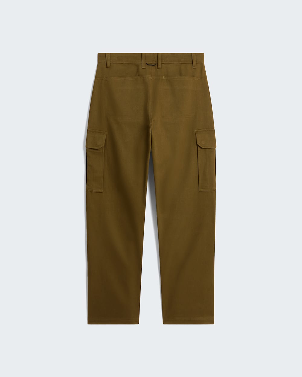 Mens Beta Heavy Cargo Trousers TNF ALT31