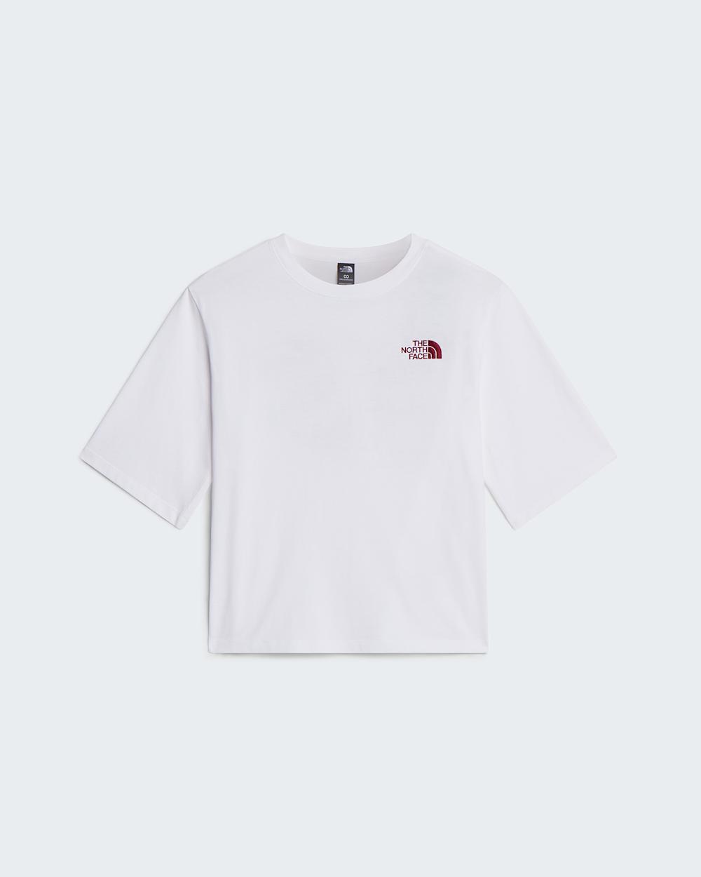 Hike Picnic Boxy Graphic TShirt voor dames TNF ALT30