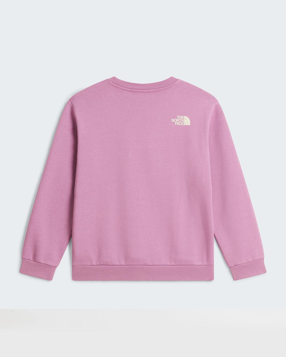 Chalbi Relaxed Graphic Sweatshirt fr Mdchen TNF ALT31