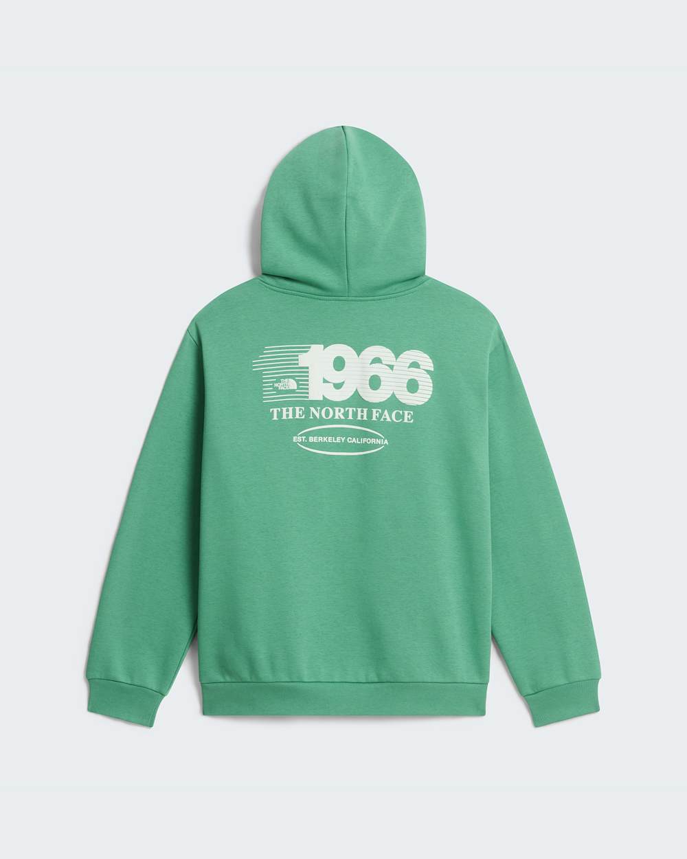 Track Relaxed Graphic Hoodie fr Teenager TNF ALT31