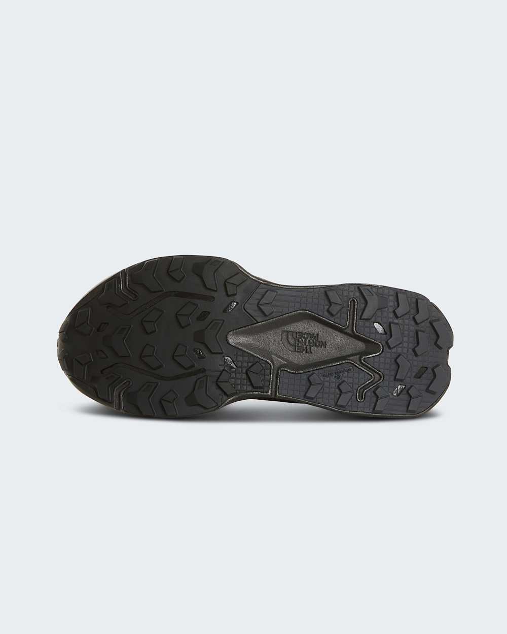 Mens Altamesa 500 V2 GORETEX Shoes TNF ALT7