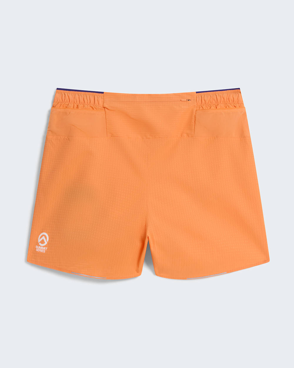 Mens Summit Pacesetter Graphic Shorts TNF ALT31