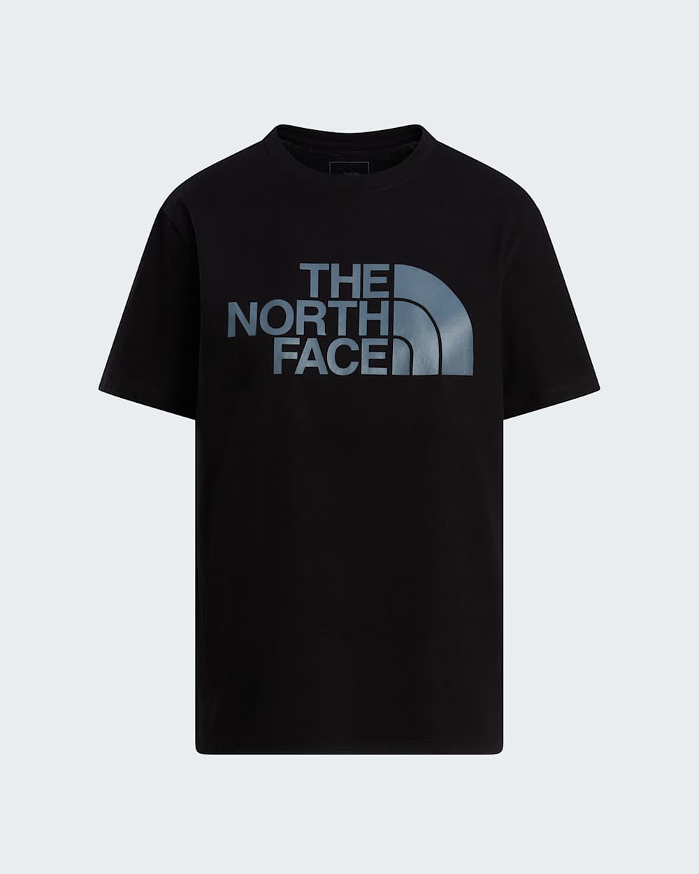 Womens Evolution Half Dome TShirt TNF ALT20