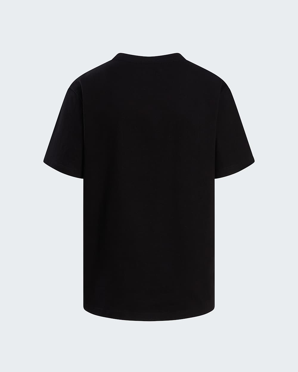 Womens Evolution Half Dome TShirt TNF ALT21