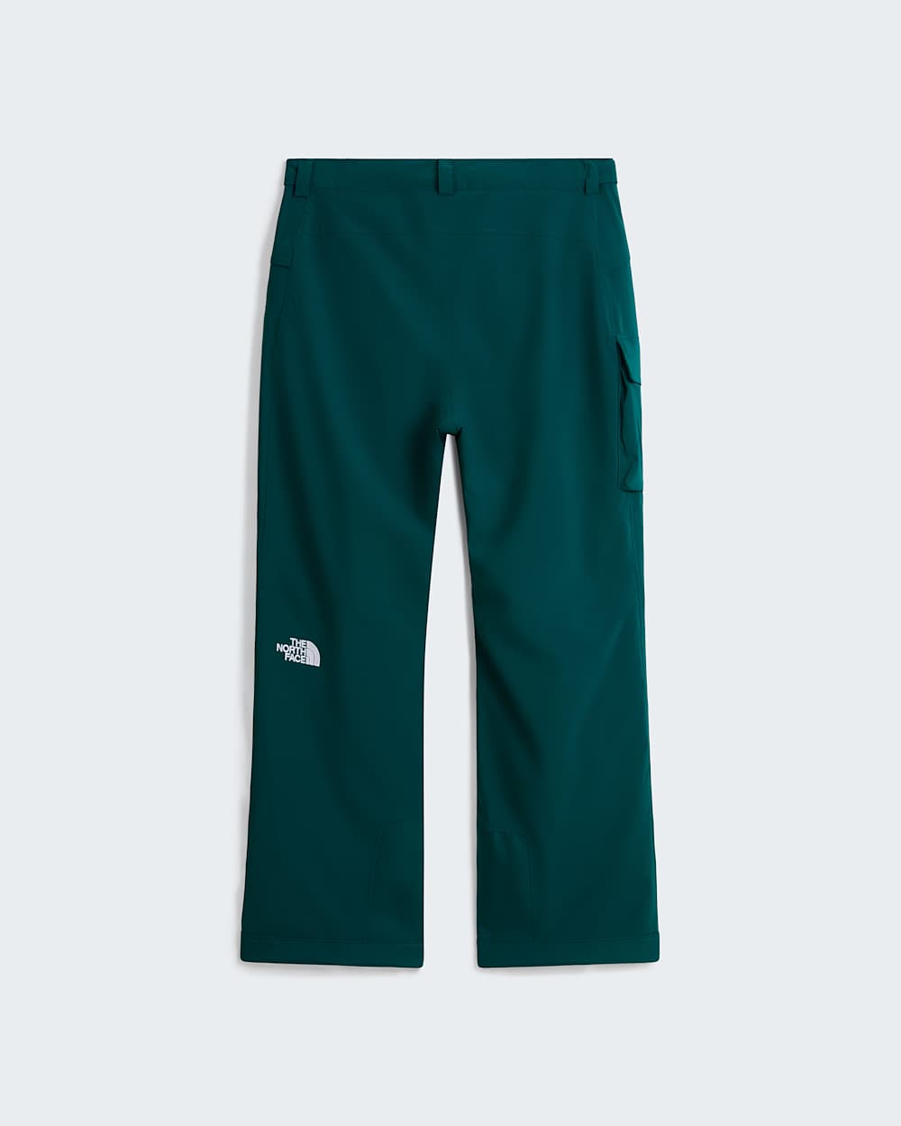 Mens Freedom Insulated Trousers TNF ALT31