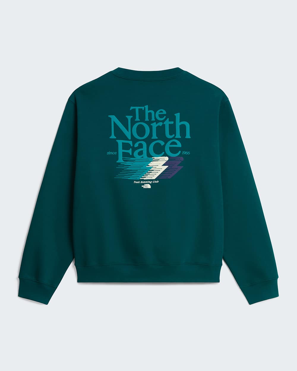 Retro Trail Relaxed Graphic Sweatshirt M TNF ALT31