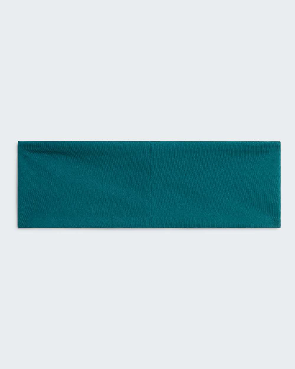 Headband Base TNF ALT2