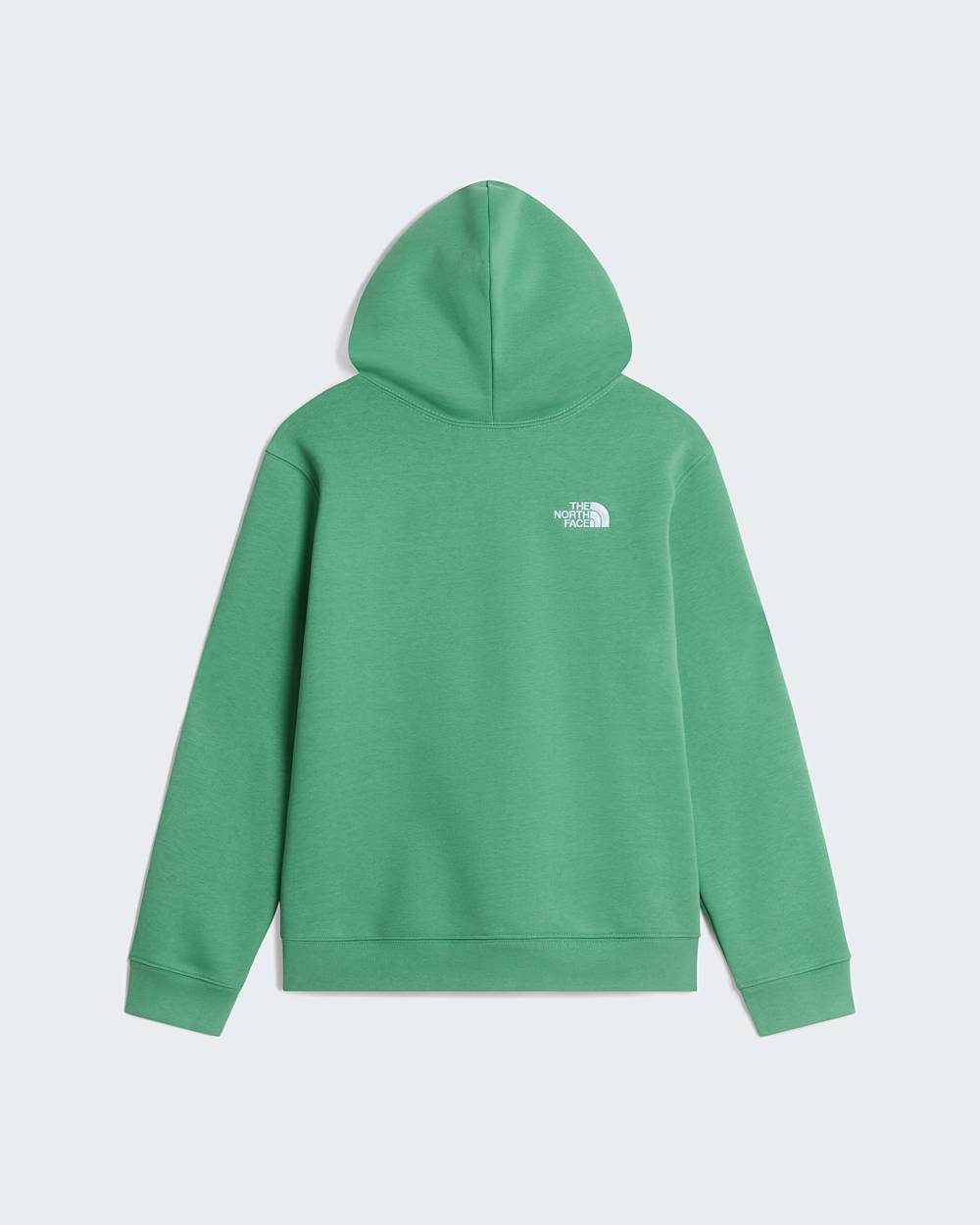 TNF Essential Drew Peak hoodie voor tieners TNF Dimmed Algae ALT31