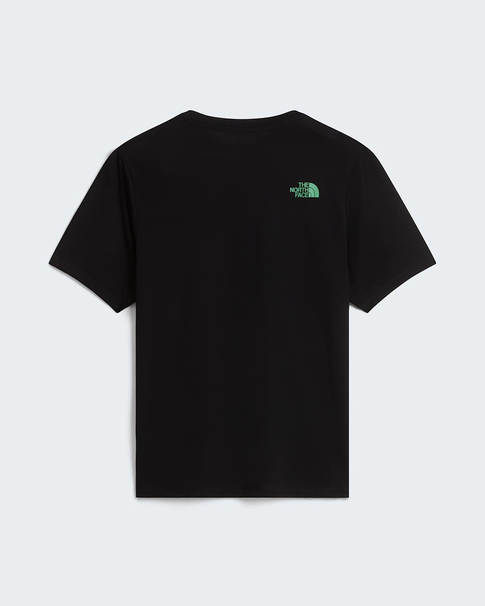 Tshirt Foundation Graphic pour homme TNF ALT31