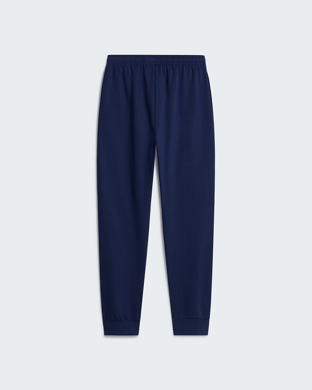 Mens Evolution Simple Dome Regular Joggers TNF alt31