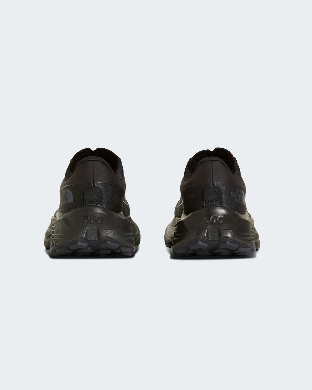 Womens Altamesa 500 V2 GORETEX Shoes TNF ALT6