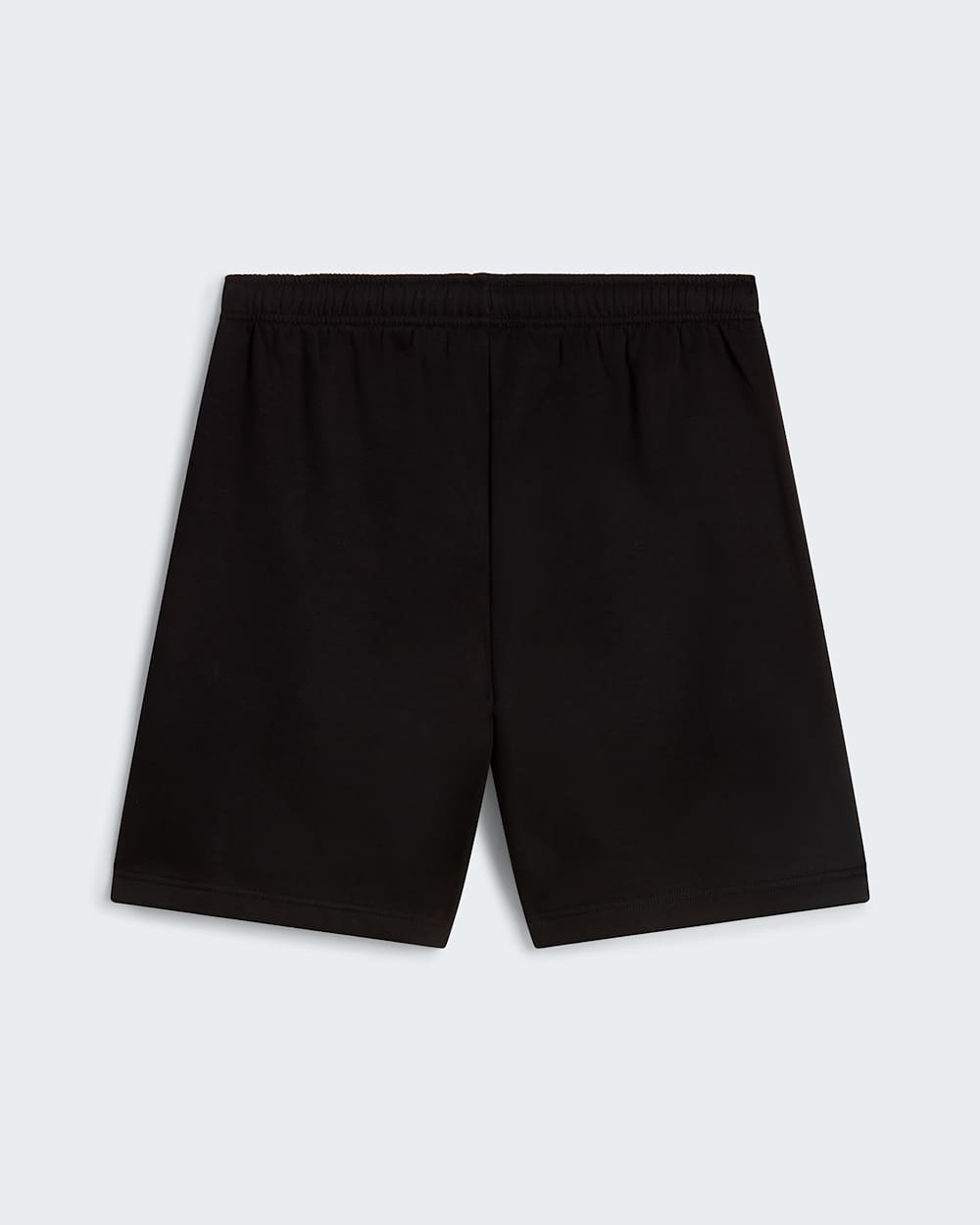 Men's Evolution Core Dome Regular Shorts | The North Face FI