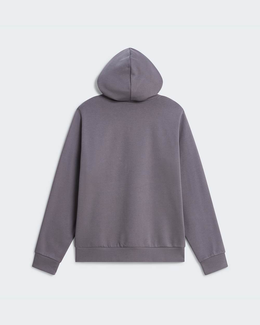 Sweat  capuche standard Evolution Front Throwback pour homme TNF alt1