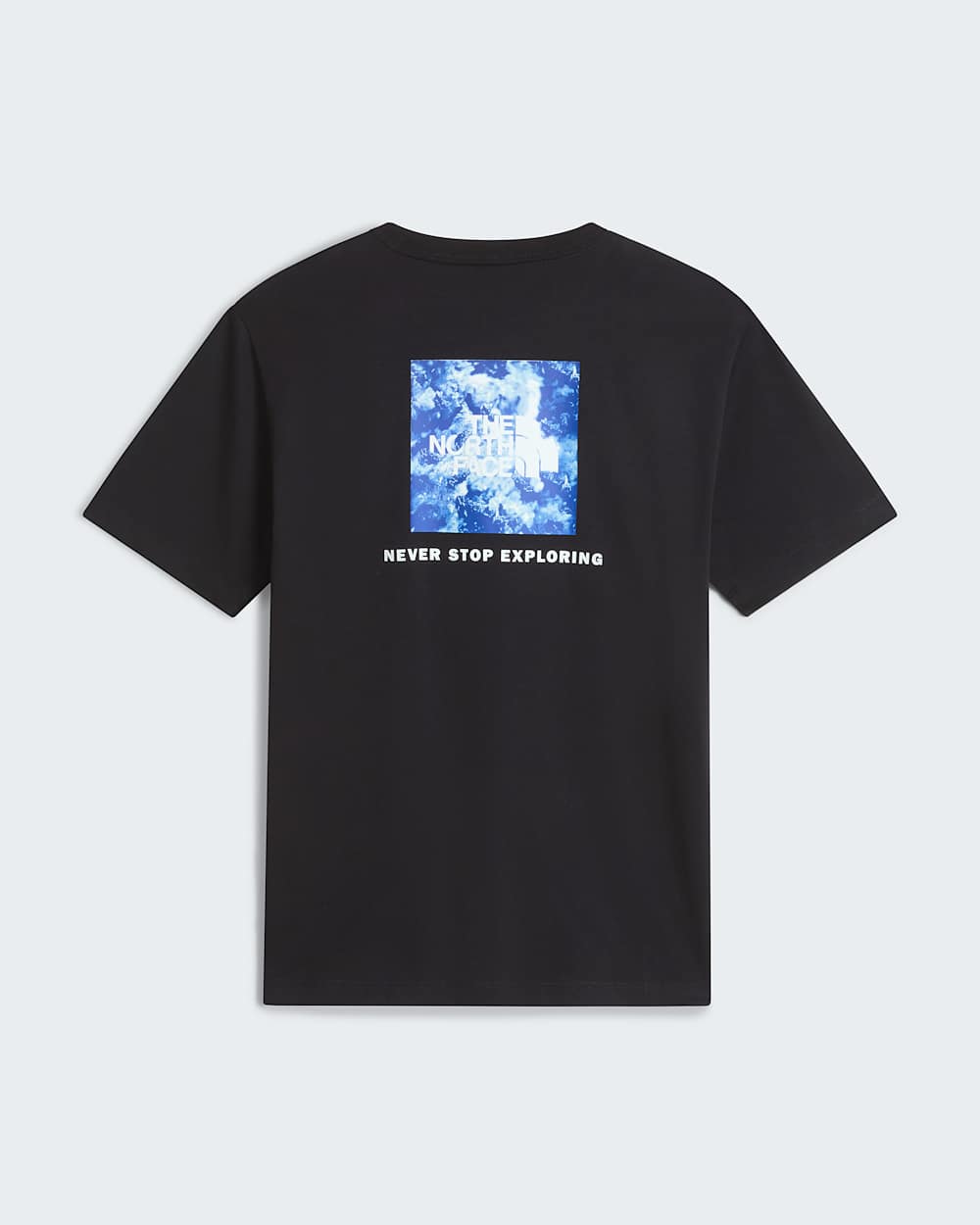 Mens Granitic Rock Box NSE Regular TShirt TNF ALT31