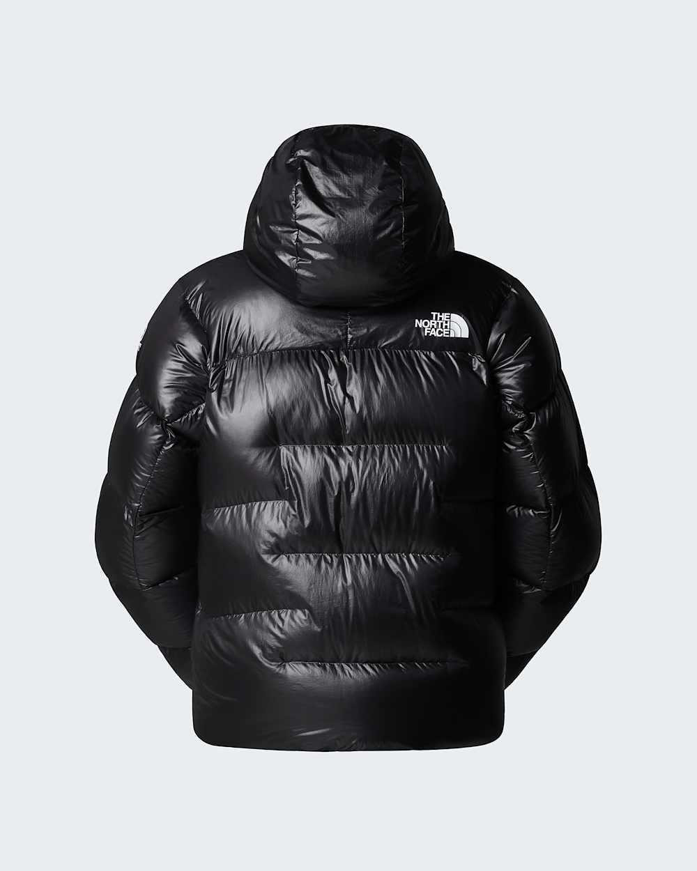 Mens Summit Pumori Down Parka TNF alt31