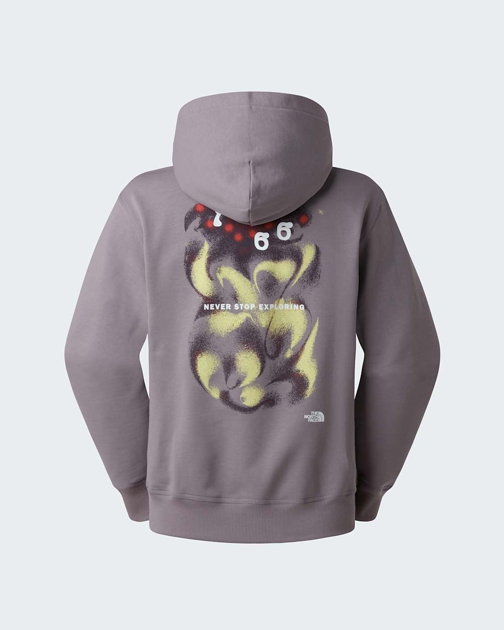 Sweat  capuche dcontract 1966 Motion Graphic unisexe TNF alt1