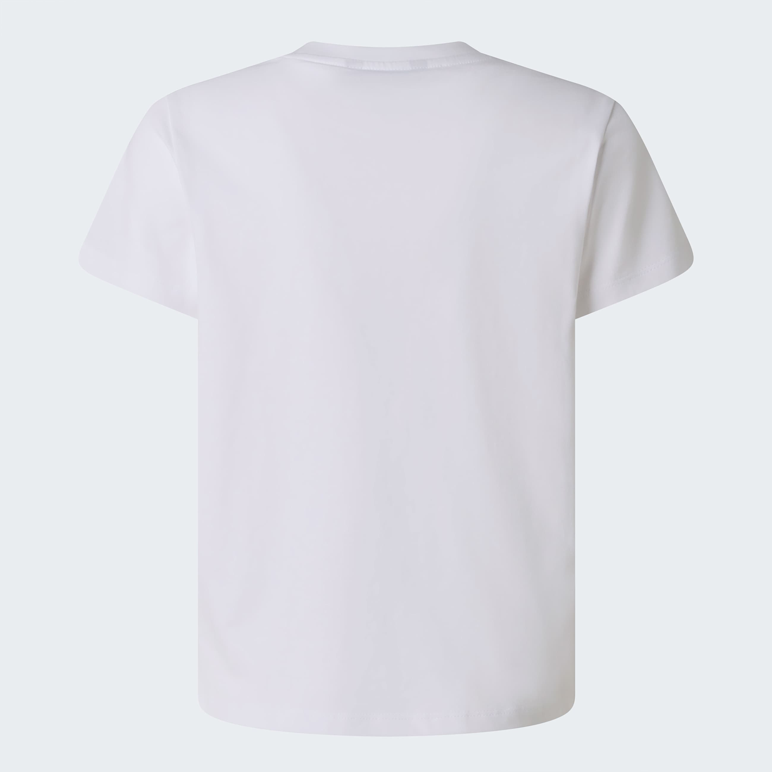 Liquid Logo Regular TShirt Boy TNF ALT21