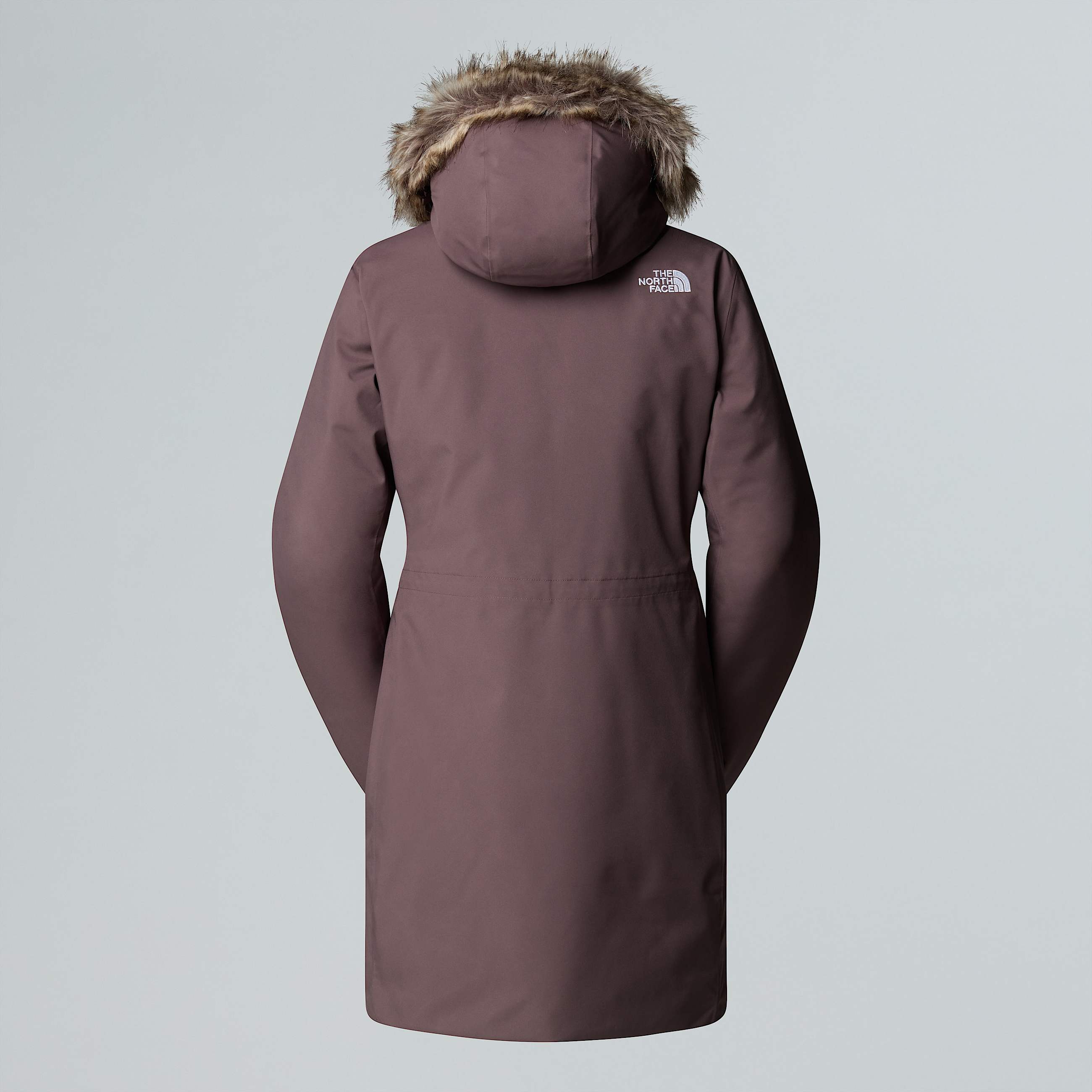 Arctic Parka W TNF ALT1