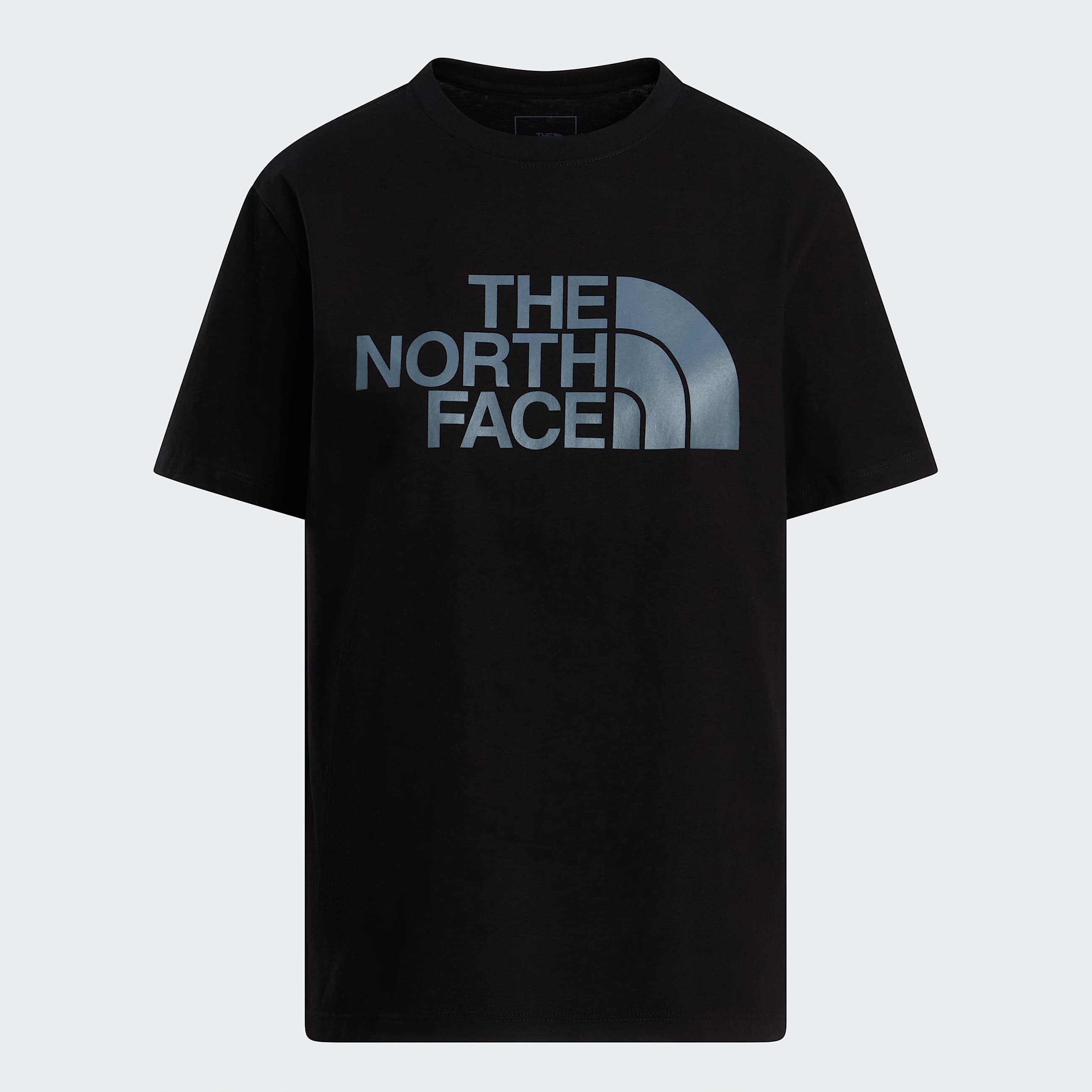 Evolution Half Dome Tshirt W TNF ALT20
