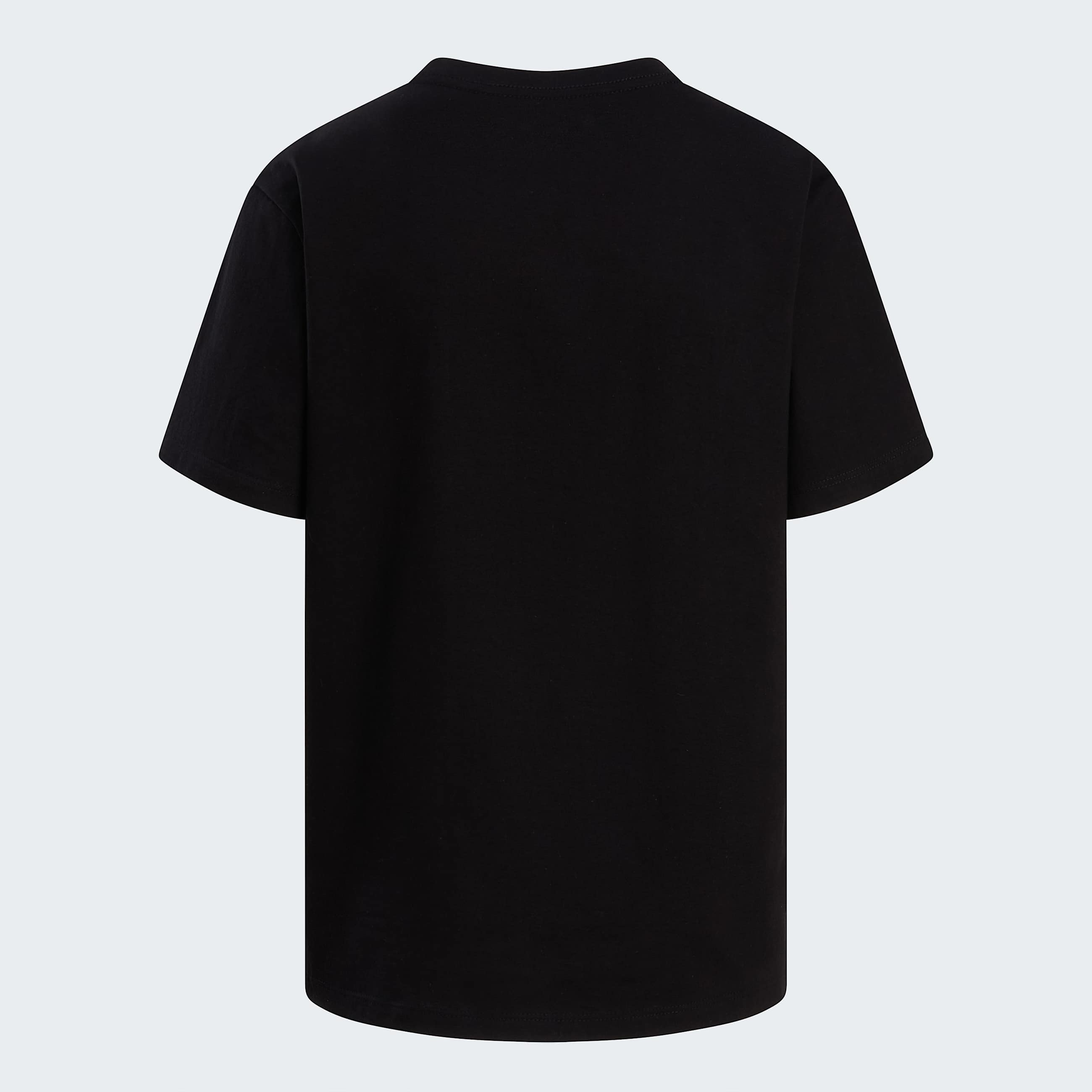 Evolution Half Dome Tshirt W TNF ALT21