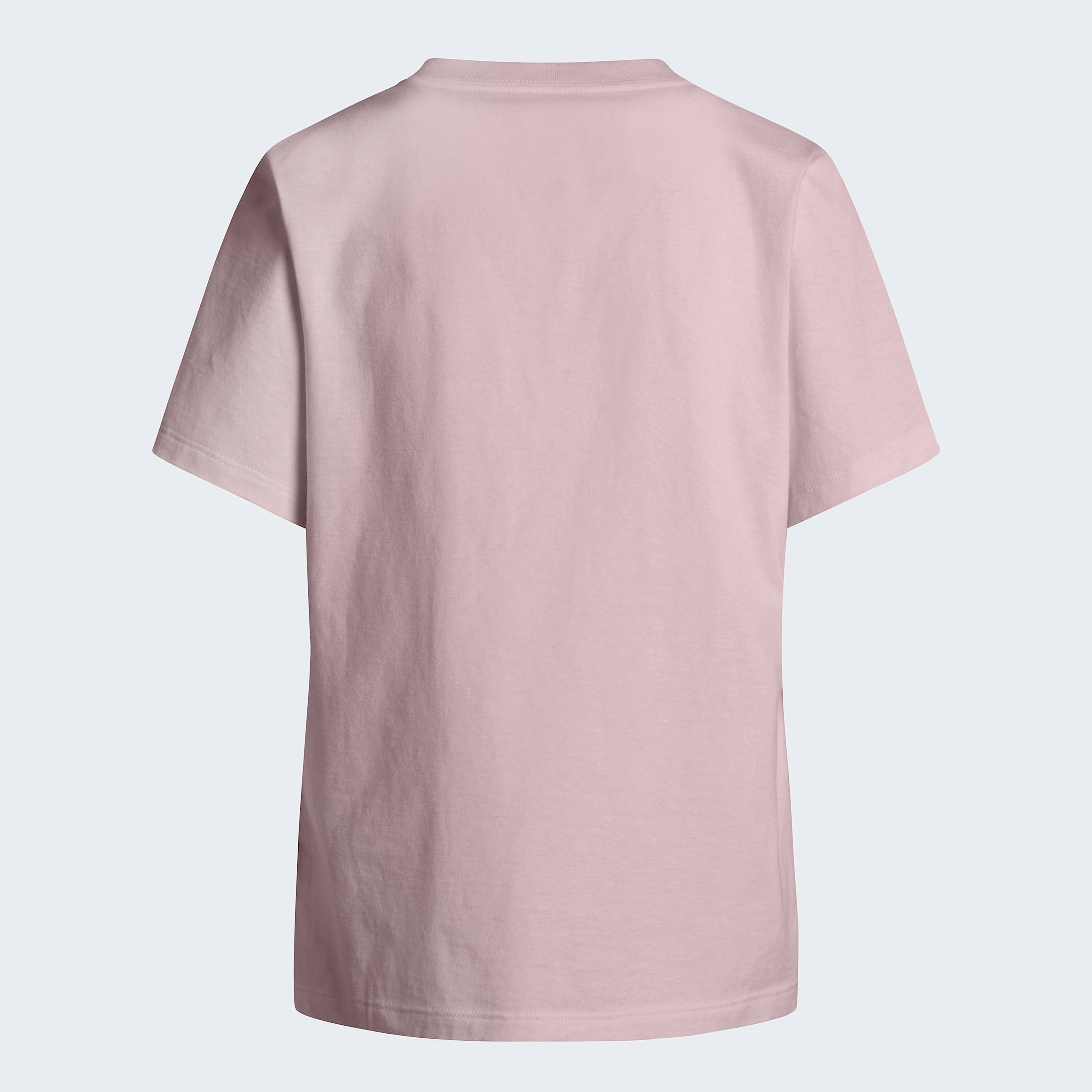 Low Read Tshirt W TNF ALT21