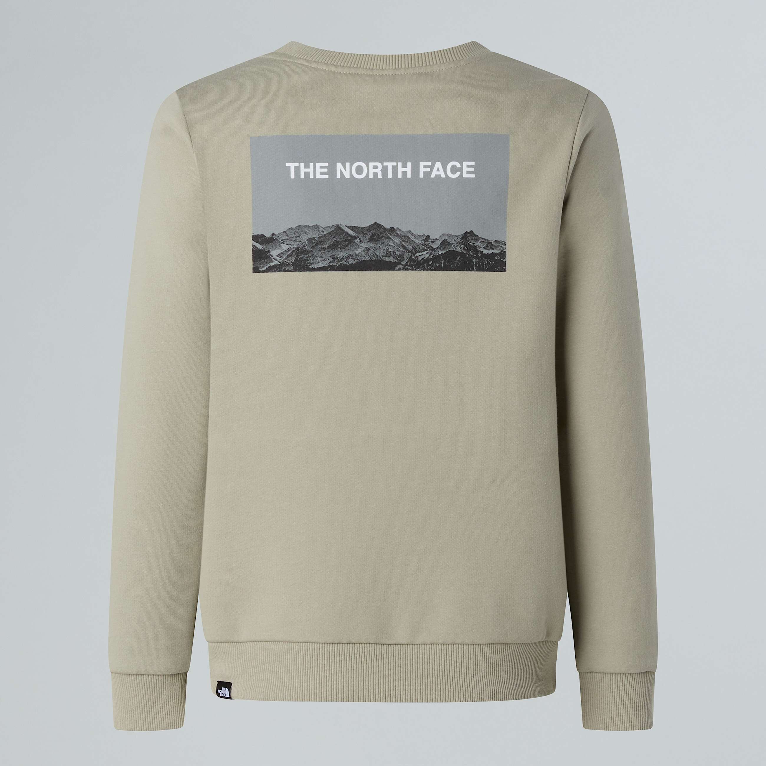 Crew Neck Sweatshirt Junior TNF ALT1