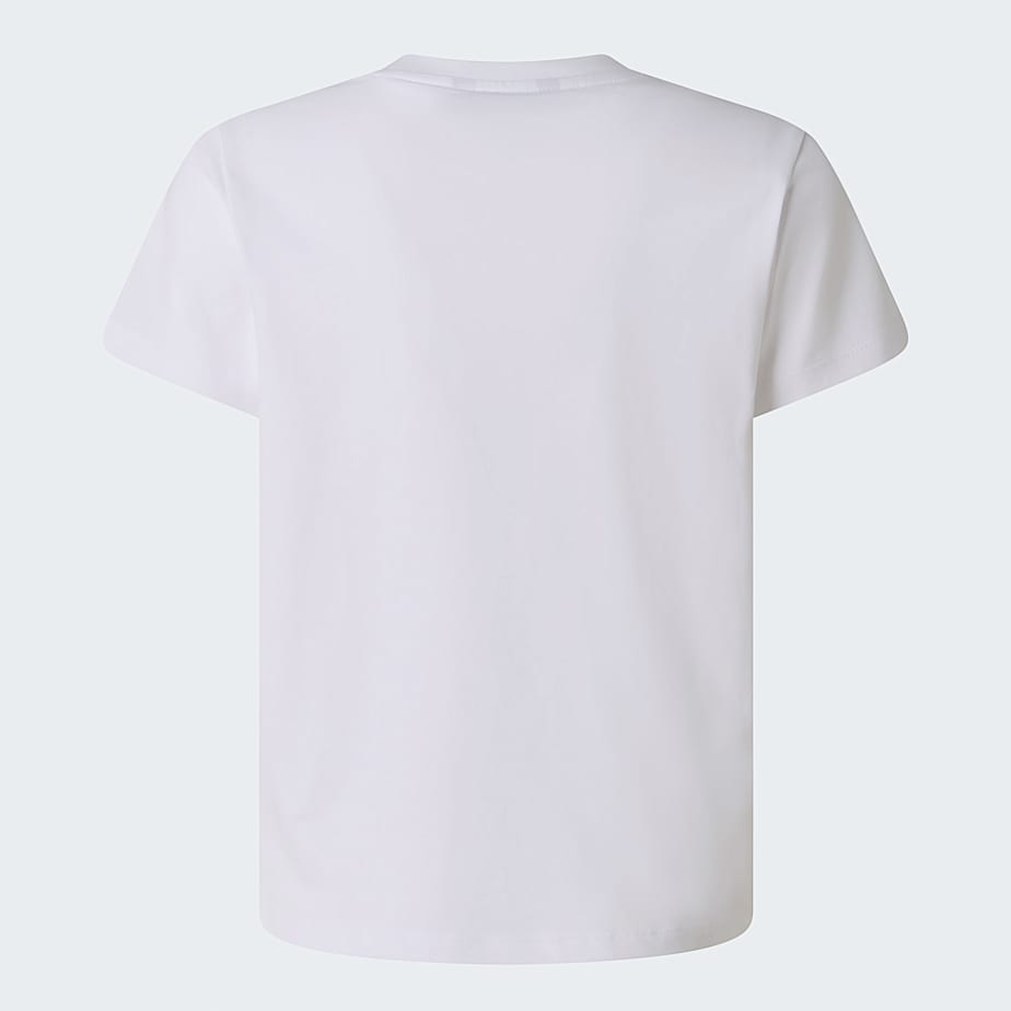 Liquid Logo Regular TShirt Boy TNF ALT21