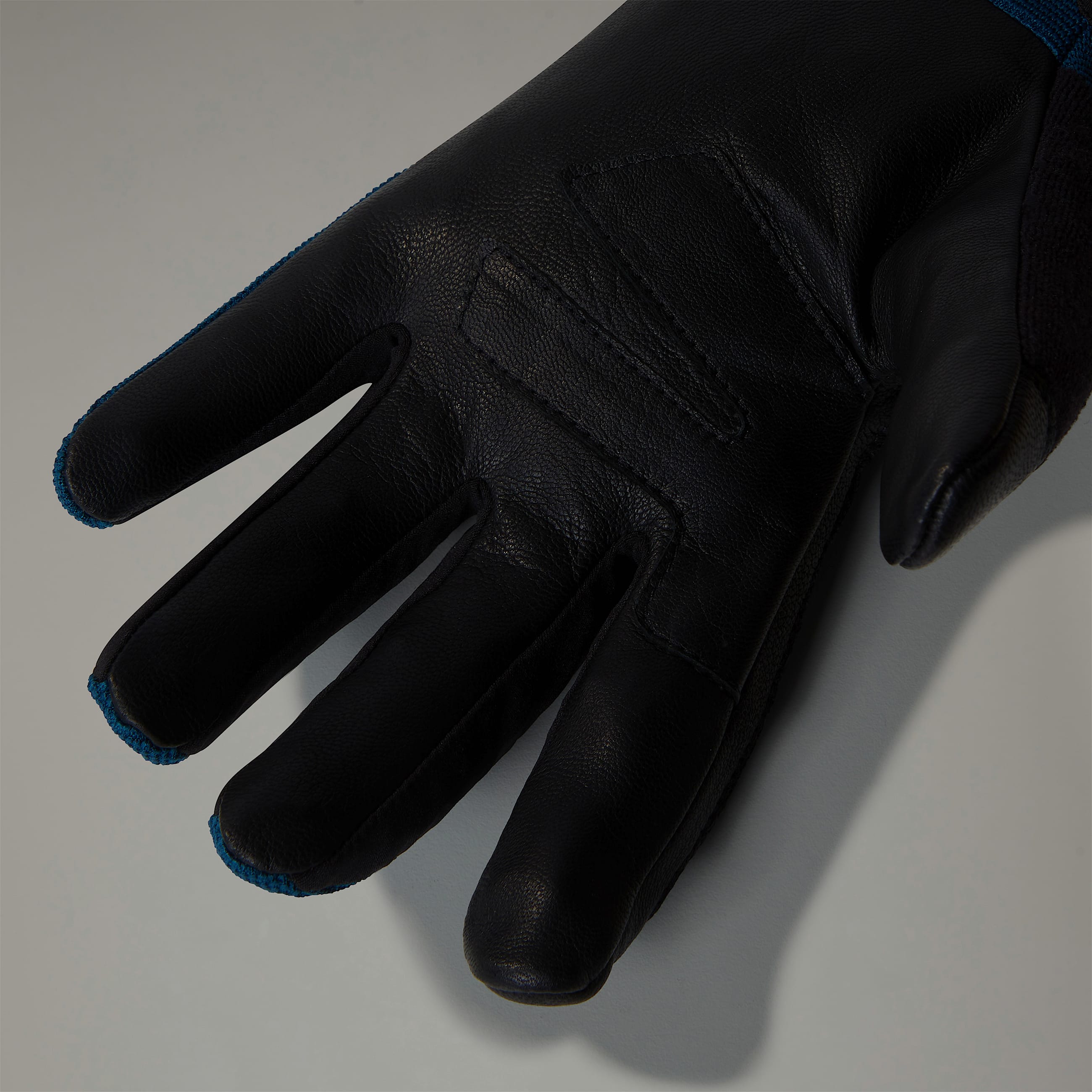 Rkawice Amp TNF ALT2