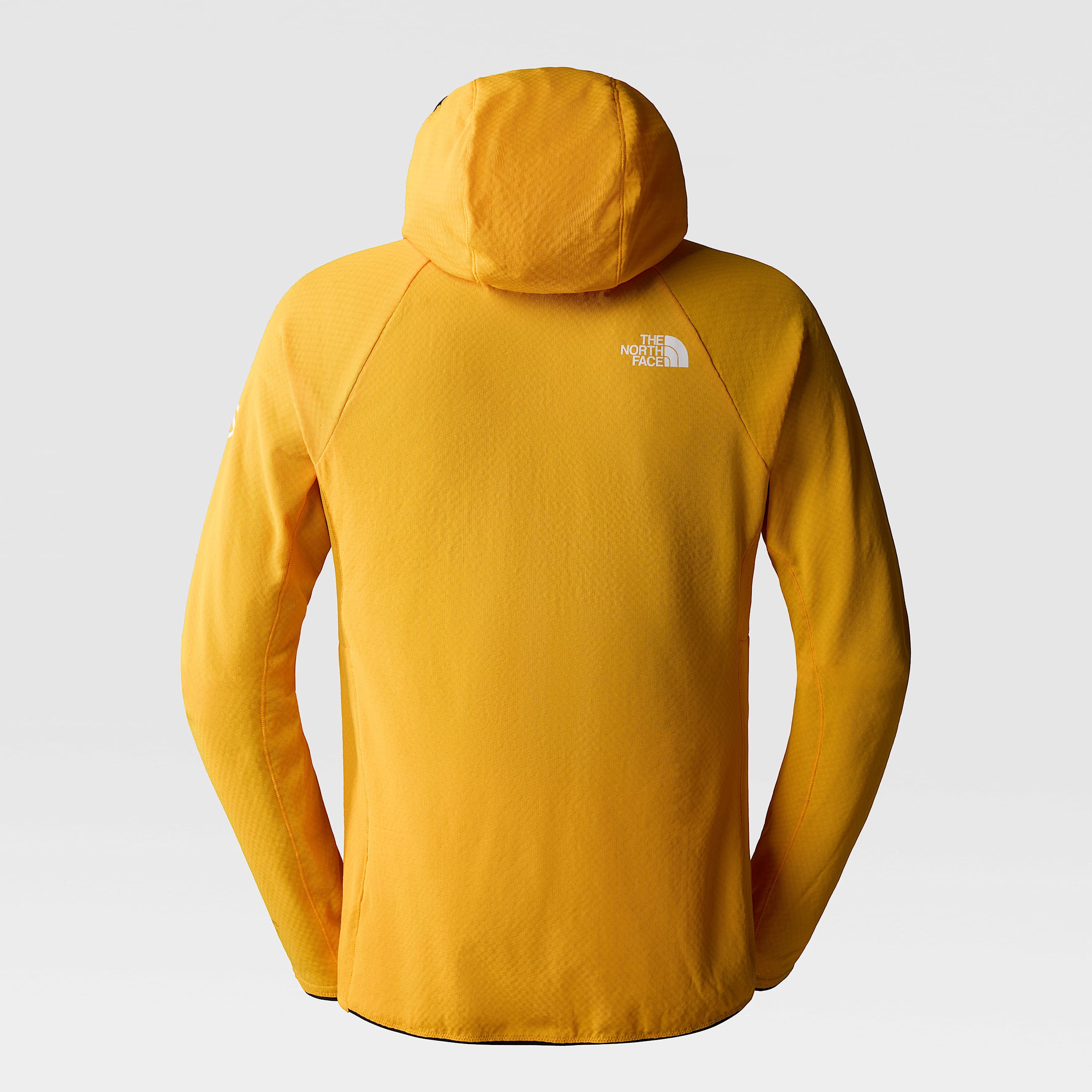 Mens Summit Series FUTUREFLEECE Hooded Jacket TNF ALT13