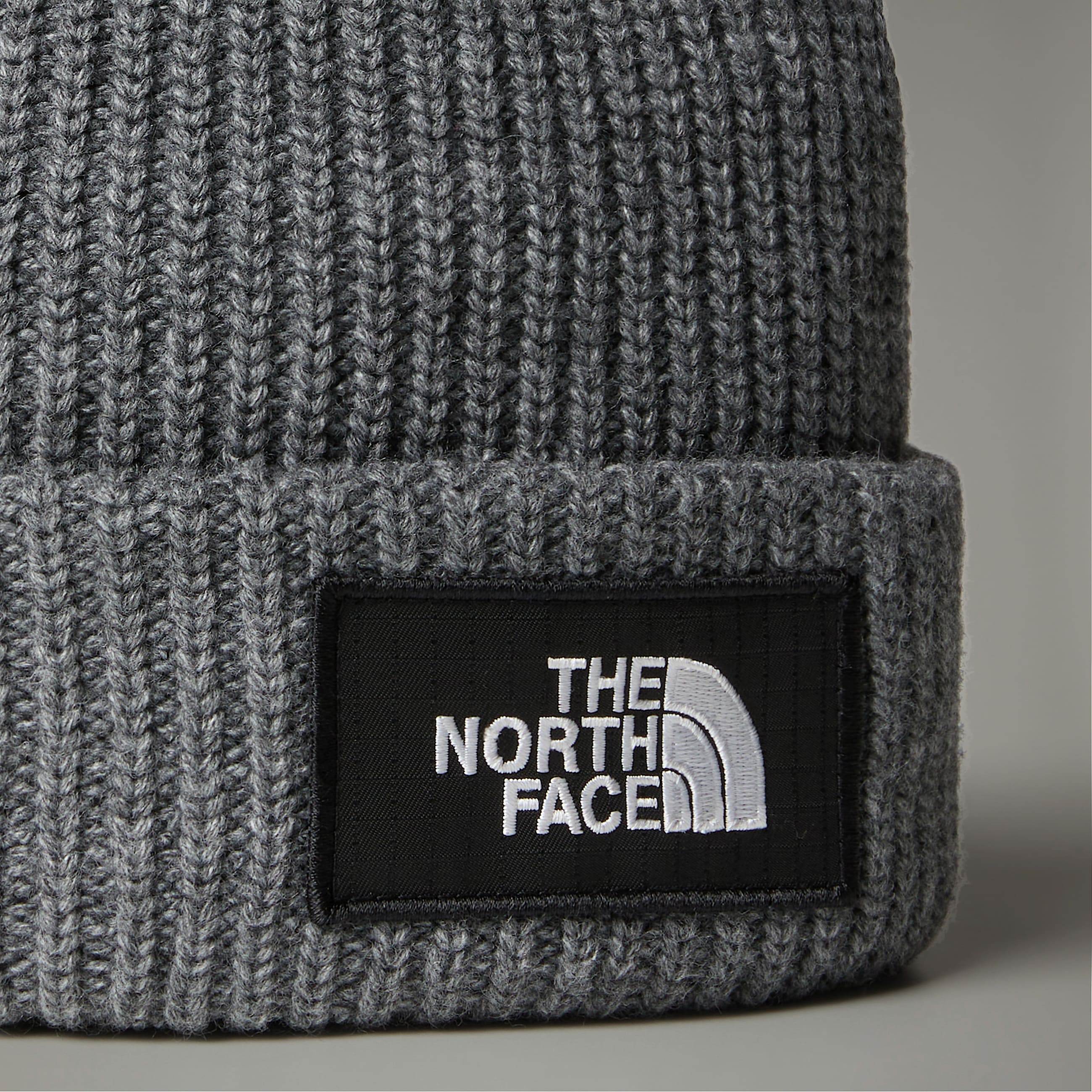 Salty Lined Beanie TNF ALT2