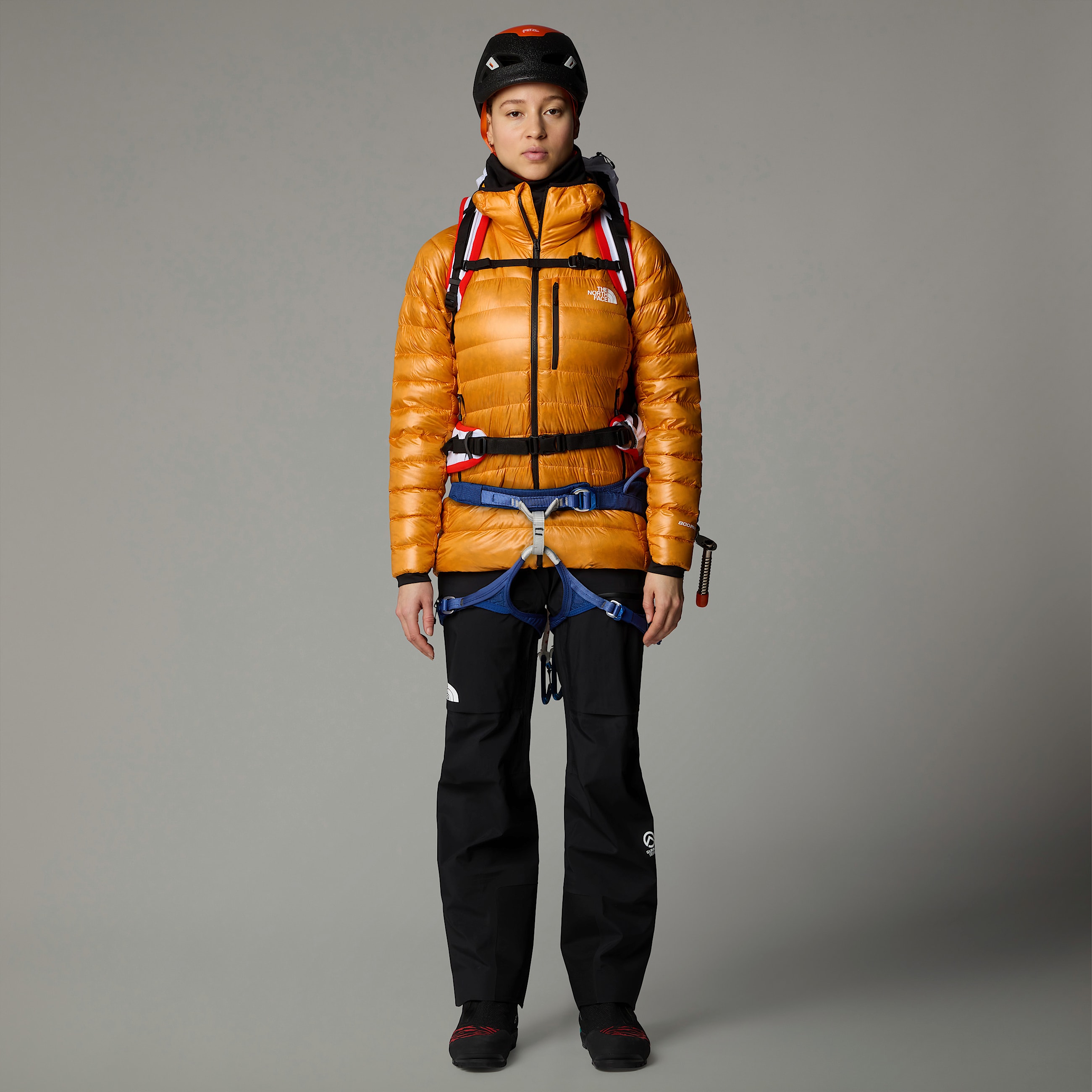 Summit Breithorndonsjas met capuchon voor dames TNF ALT4