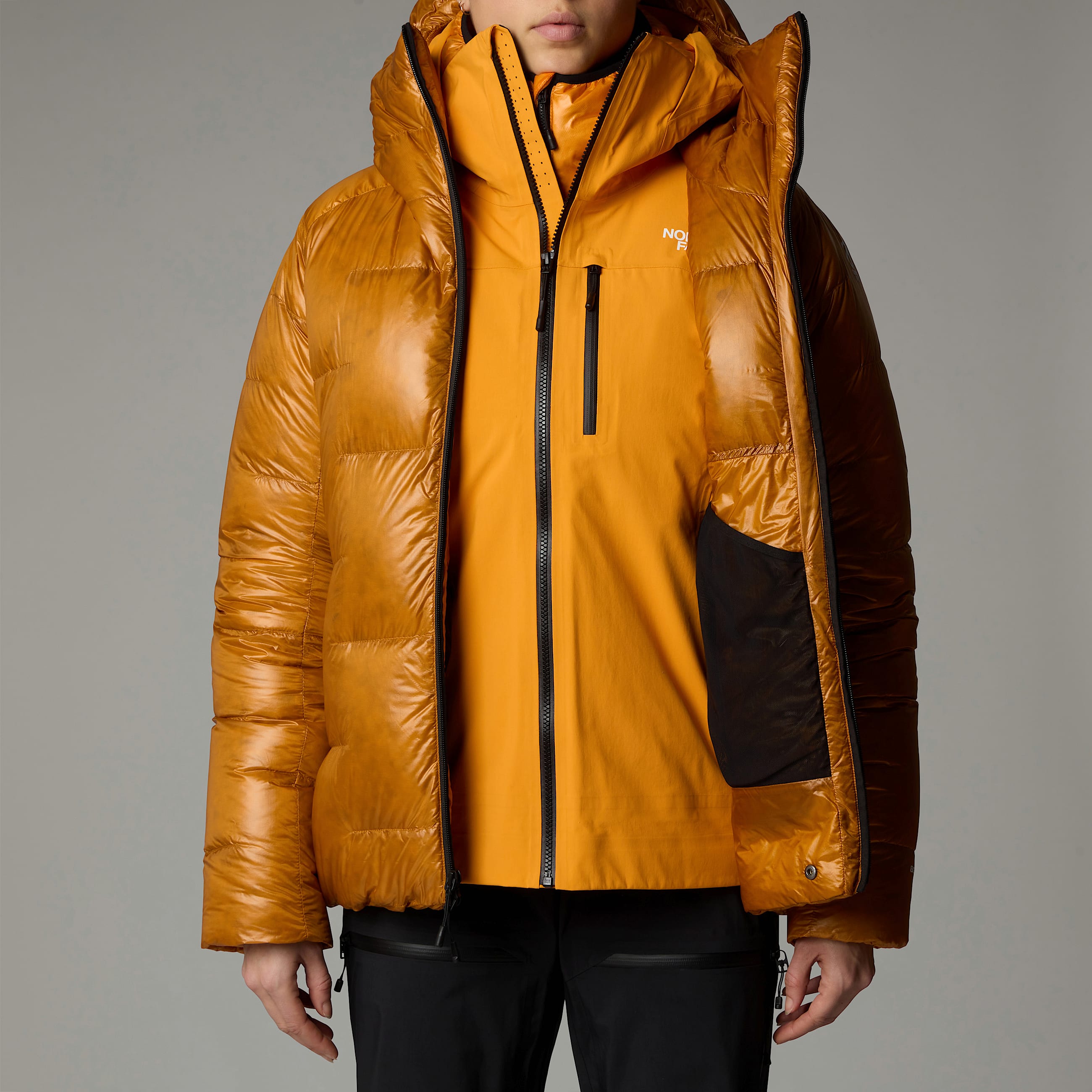 Parka en duvet Summit Himalayan pour femme TNF ALT9