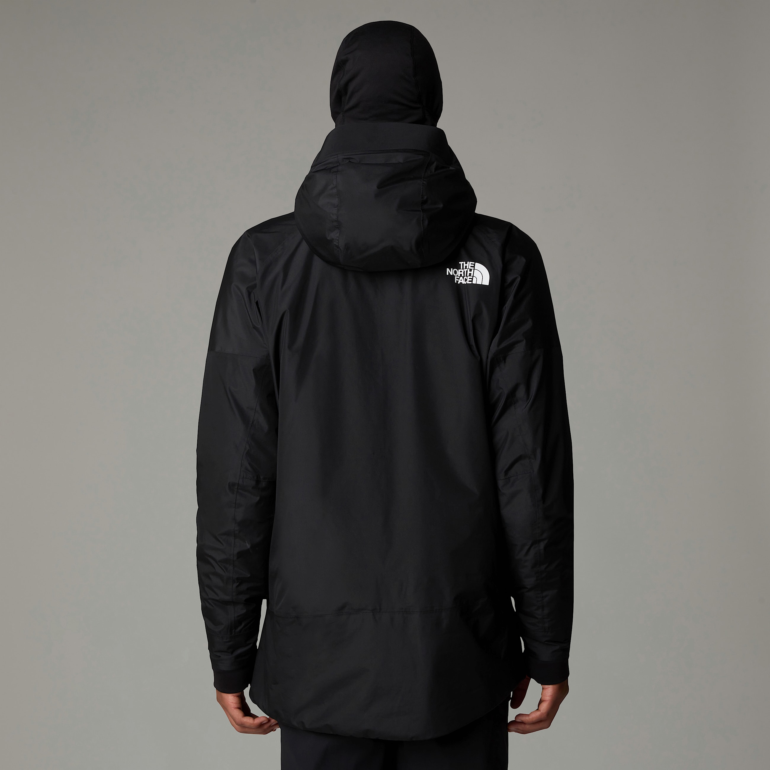 Mska ocieplana kurtka Dawnstrike GORETEX TNF ALT2