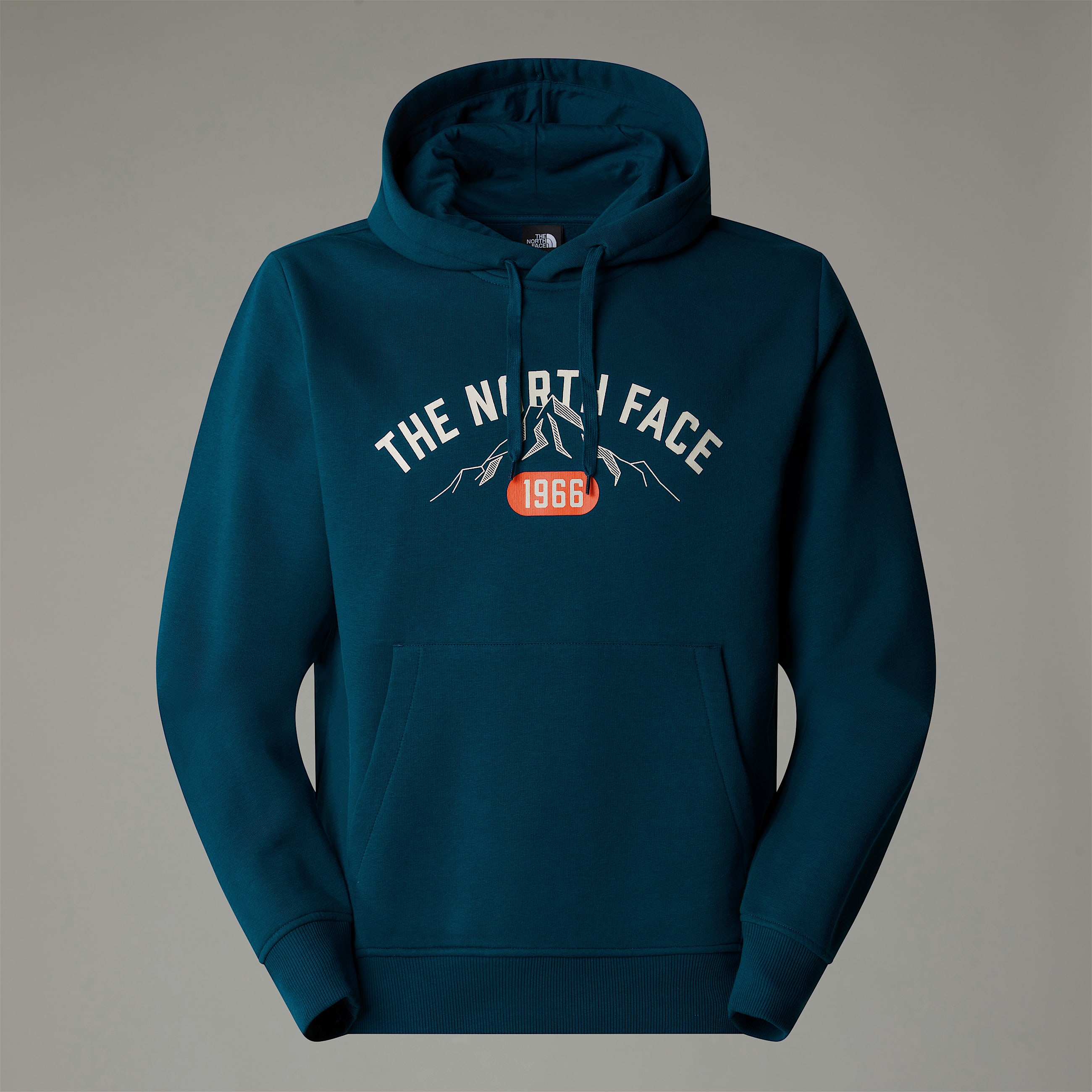 Varsity Graphic Hoodie M TNF ALT7