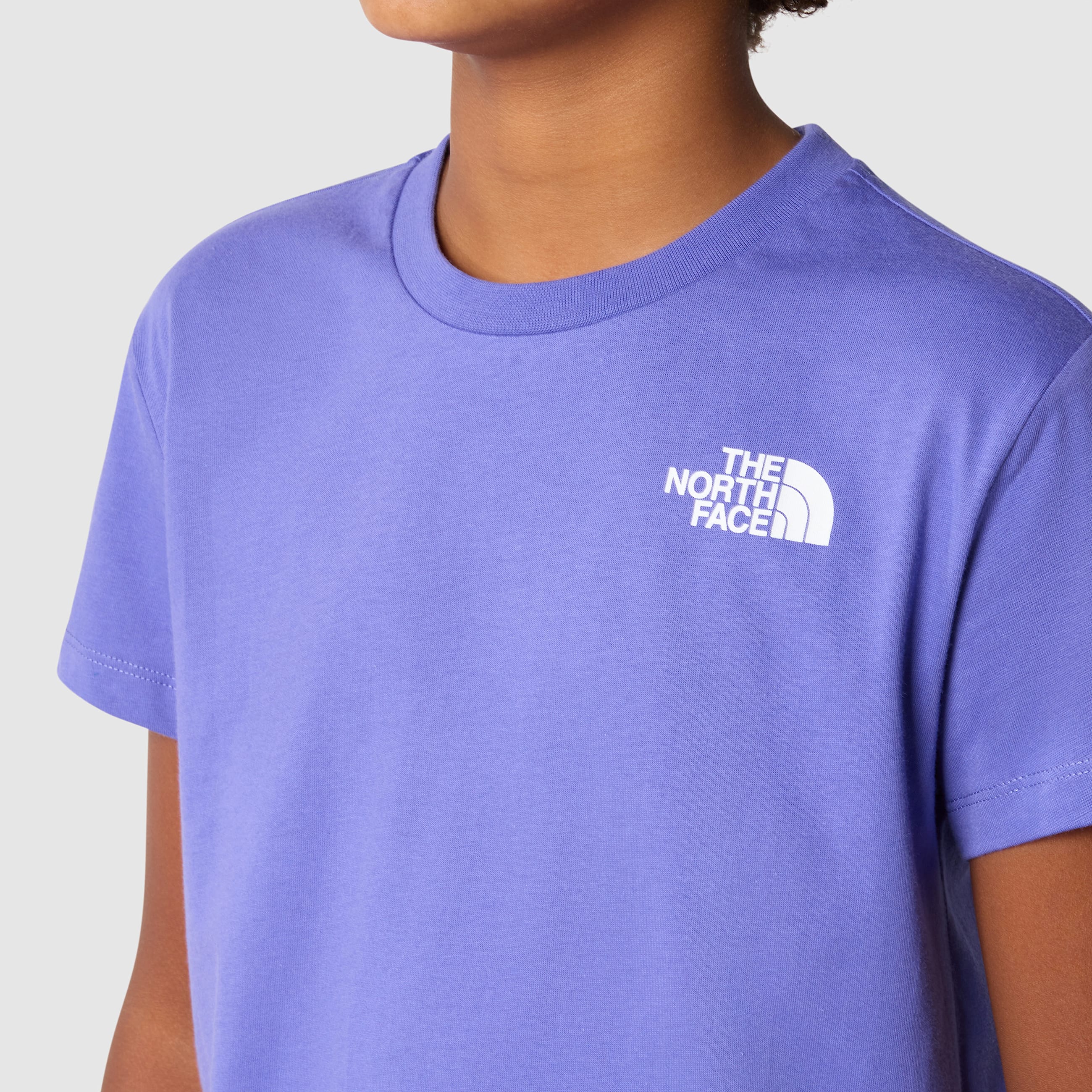 Boys NSE Box TShirt TNF ALT3