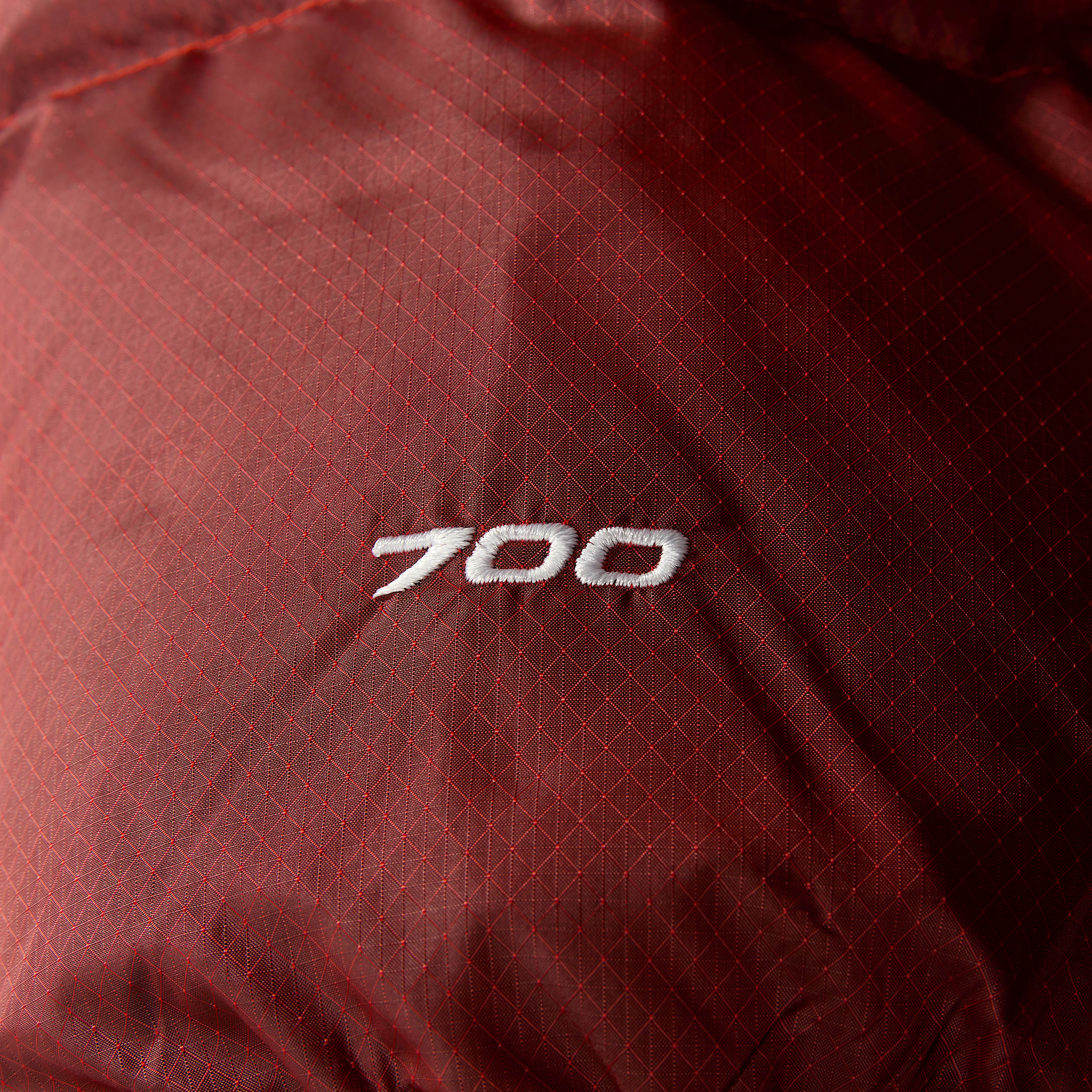 Mens Diablo Down 20 Hooded Jacket TNF ALT11