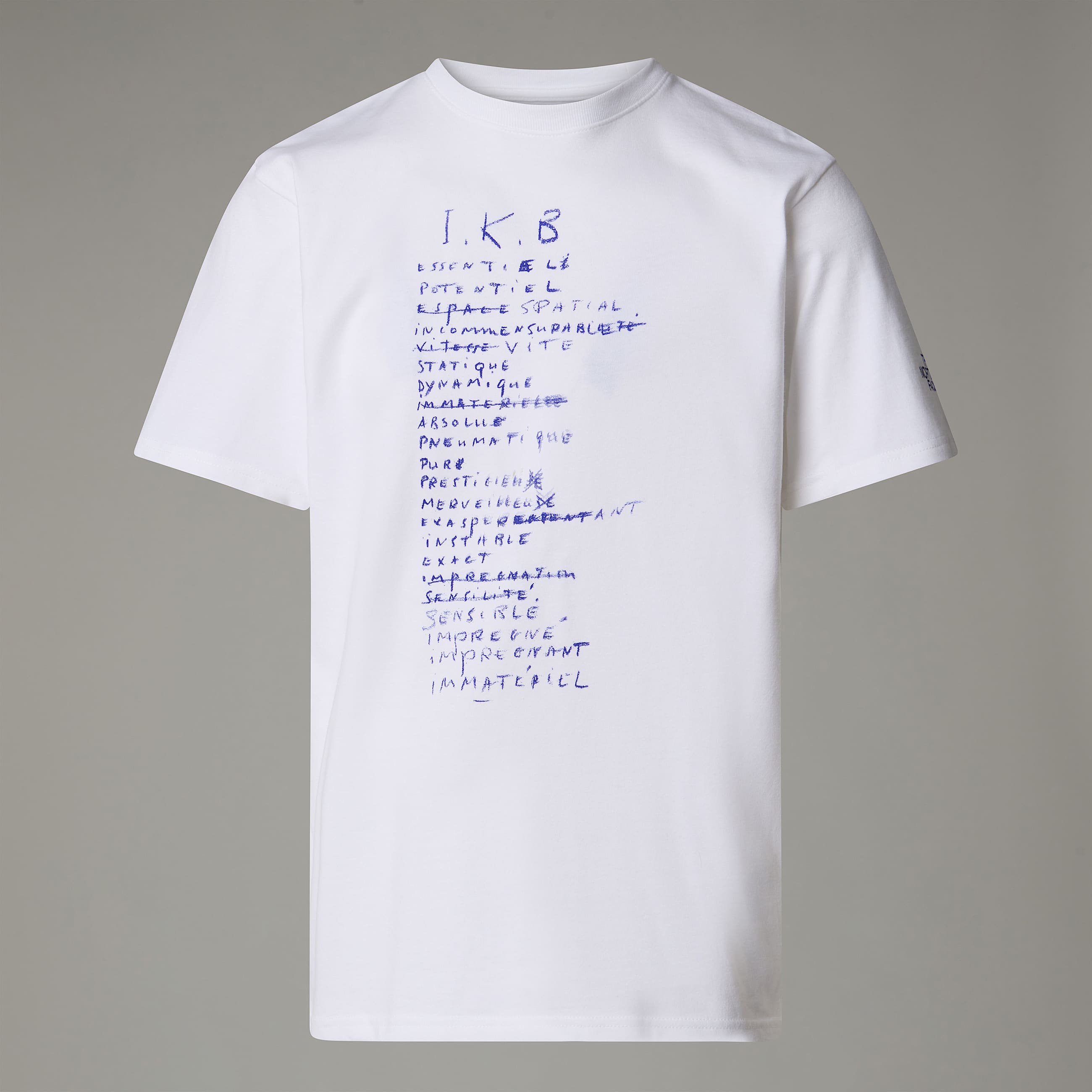 TNF X IKB TShirt M TNF ALT20