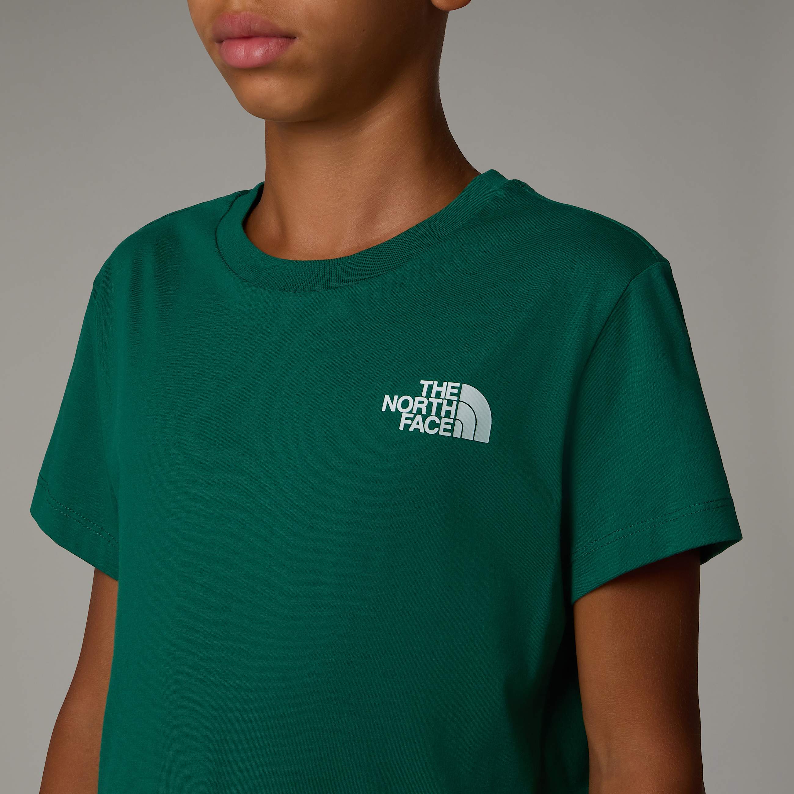 NSE Box TShirt Boy TNF ALT3