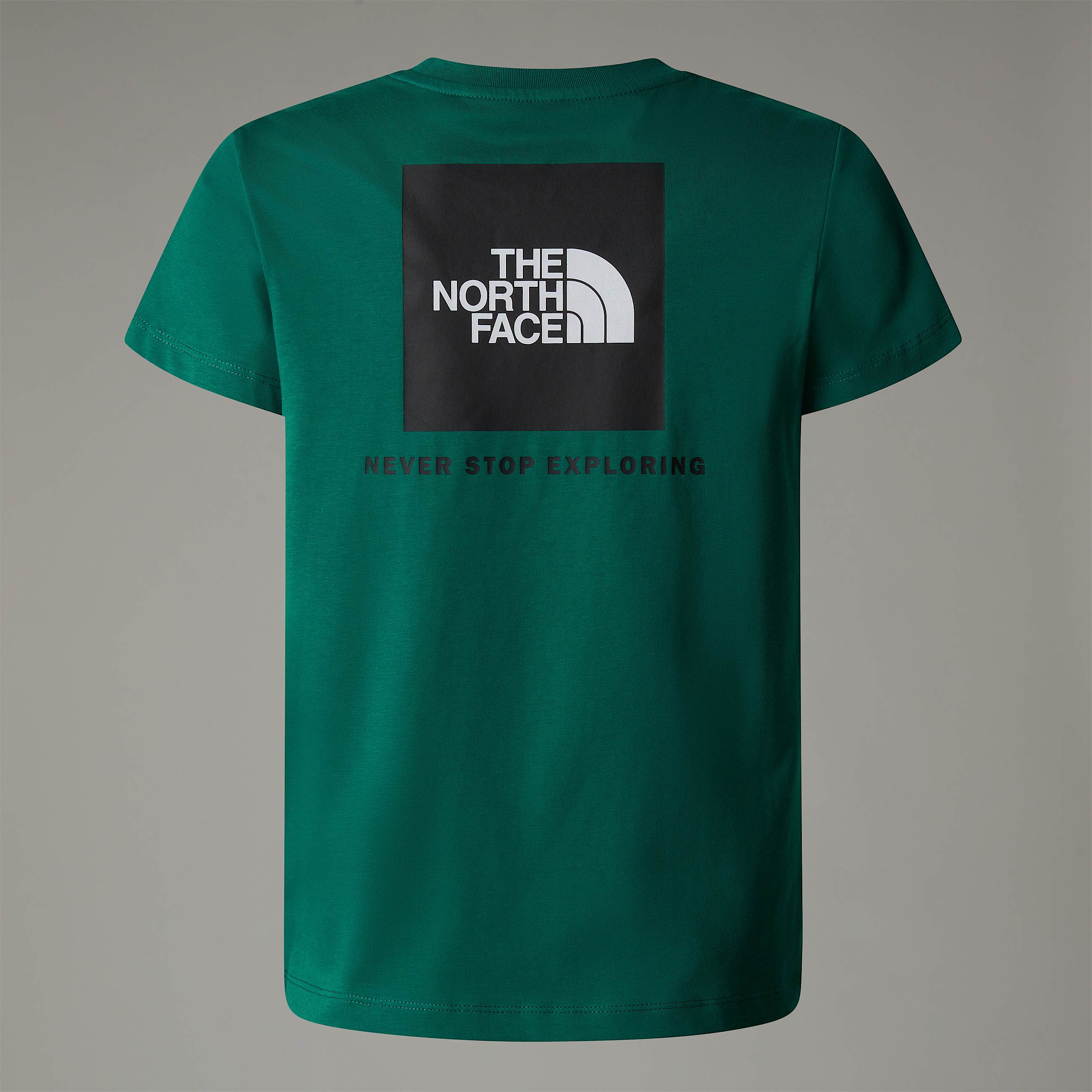 Tshirt NSE Box da ragazzo TNF ALT21