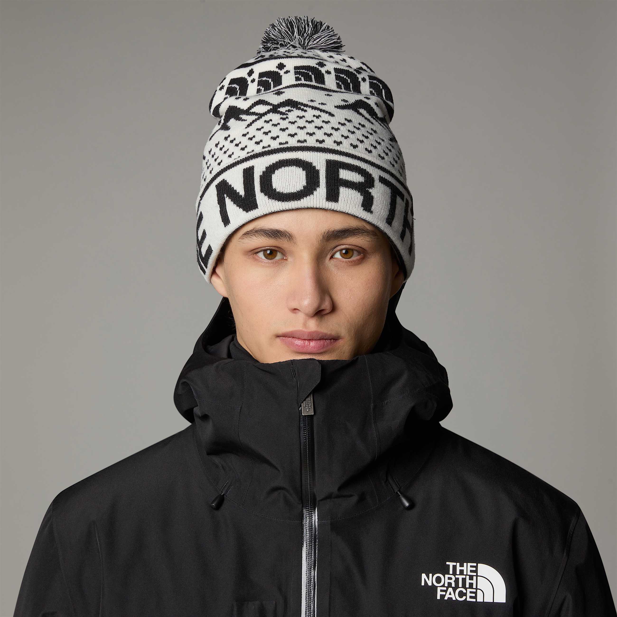 Tukeskibeanie TNF ALT1