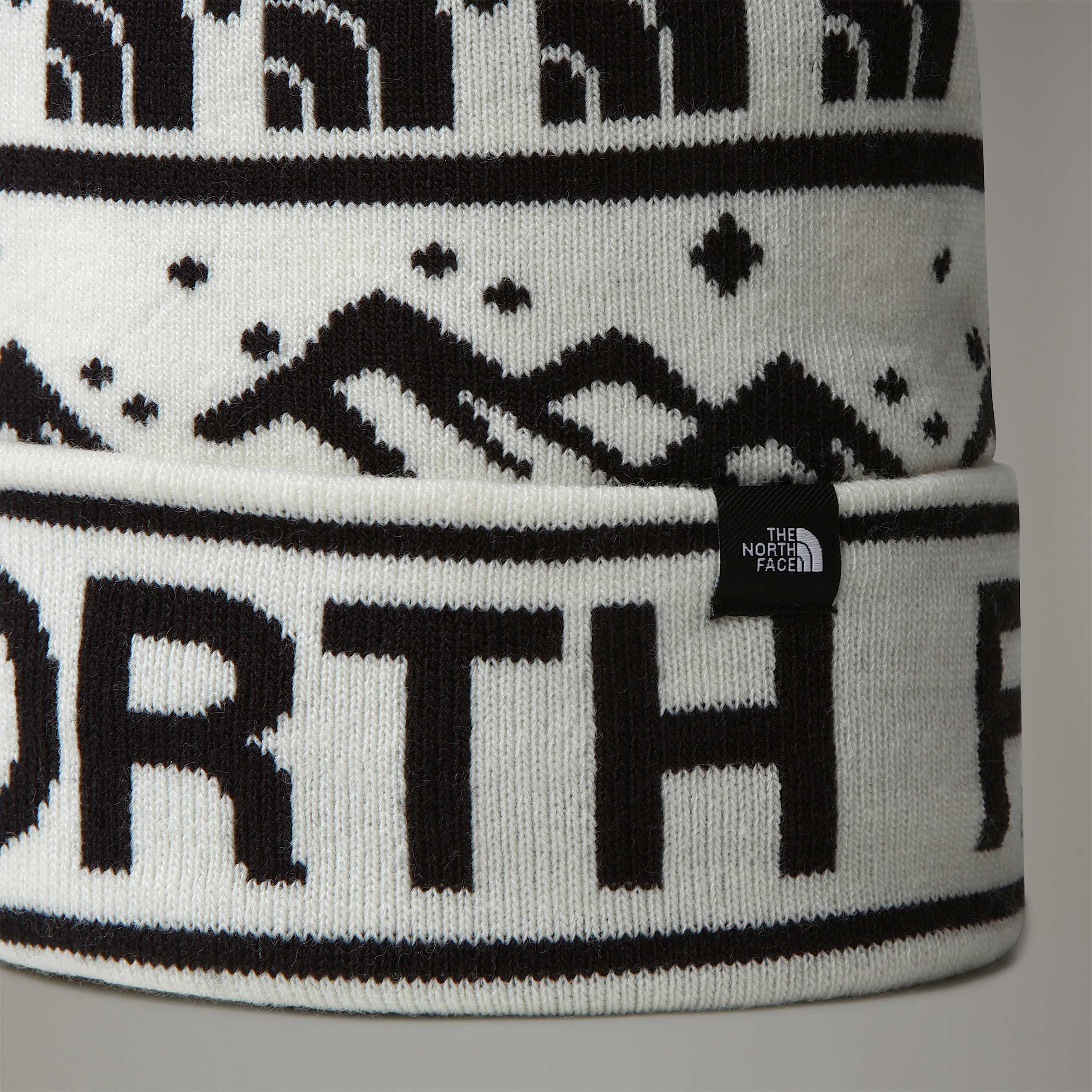 Tukeskibeanie TNF ALT2