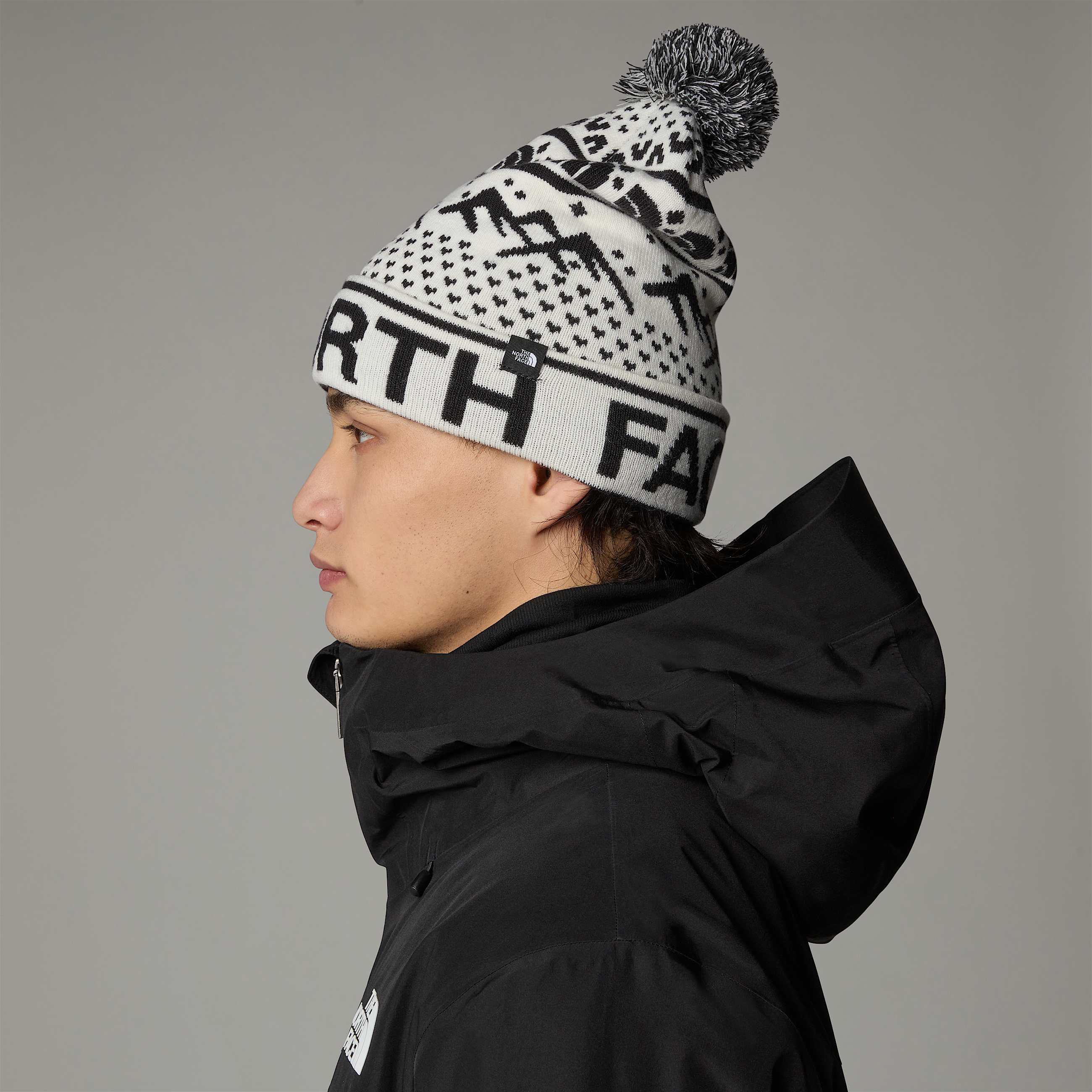 Tukeskibeanie TNF ALT3