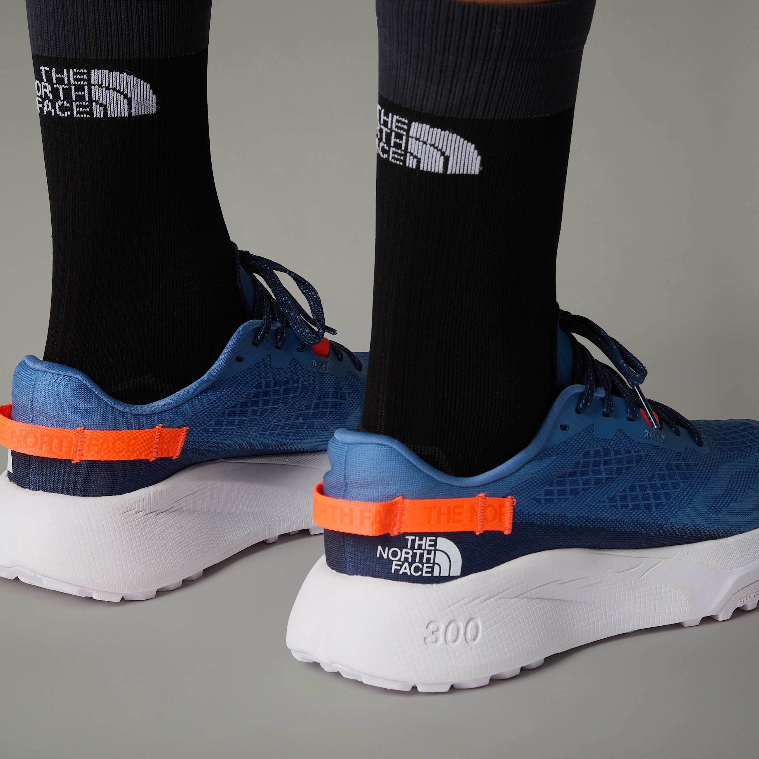 Mens Altamesa 300 Trail Running Shoes TNF ALT2