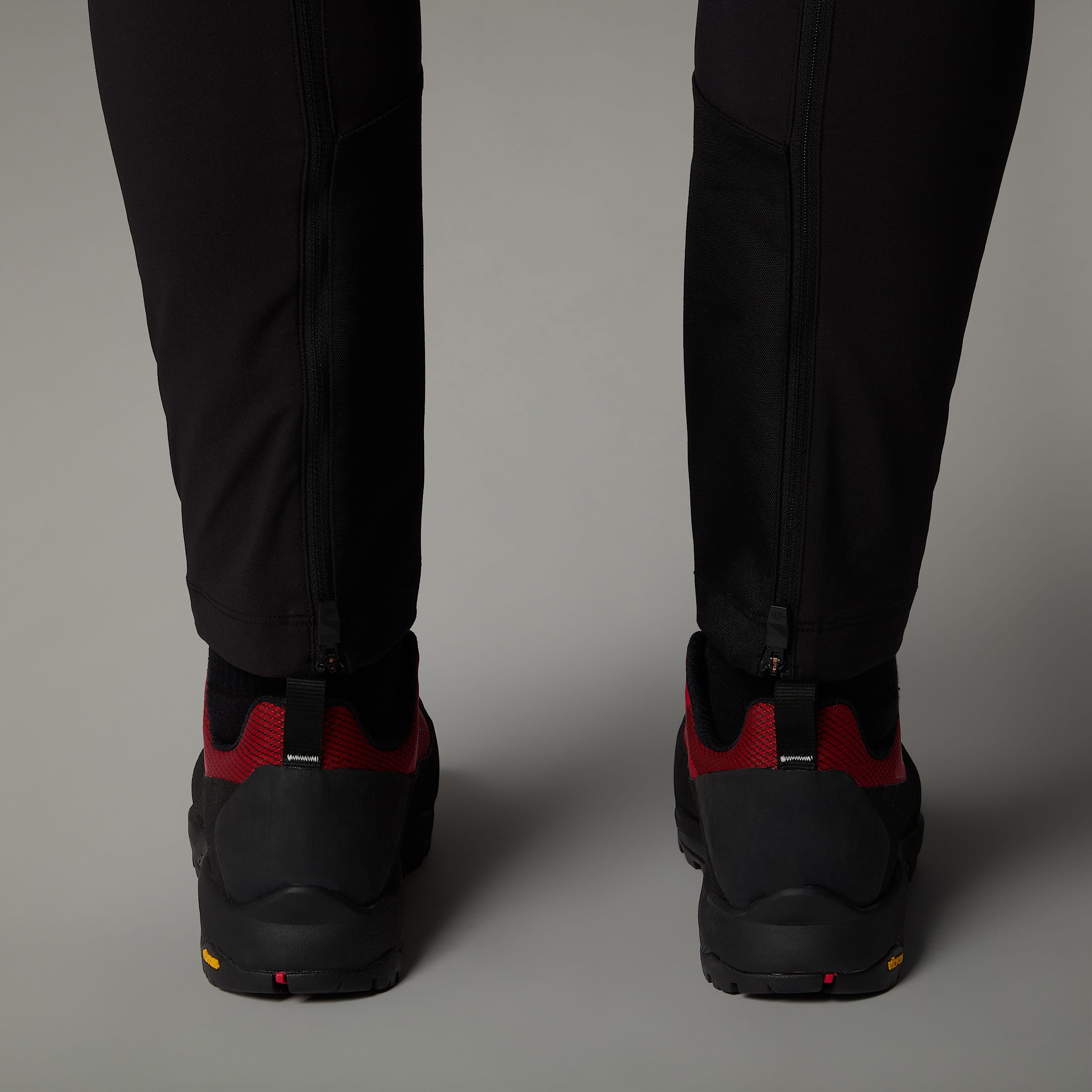 Mens Verto GORETEX Alpine Shoes TNF ALT4