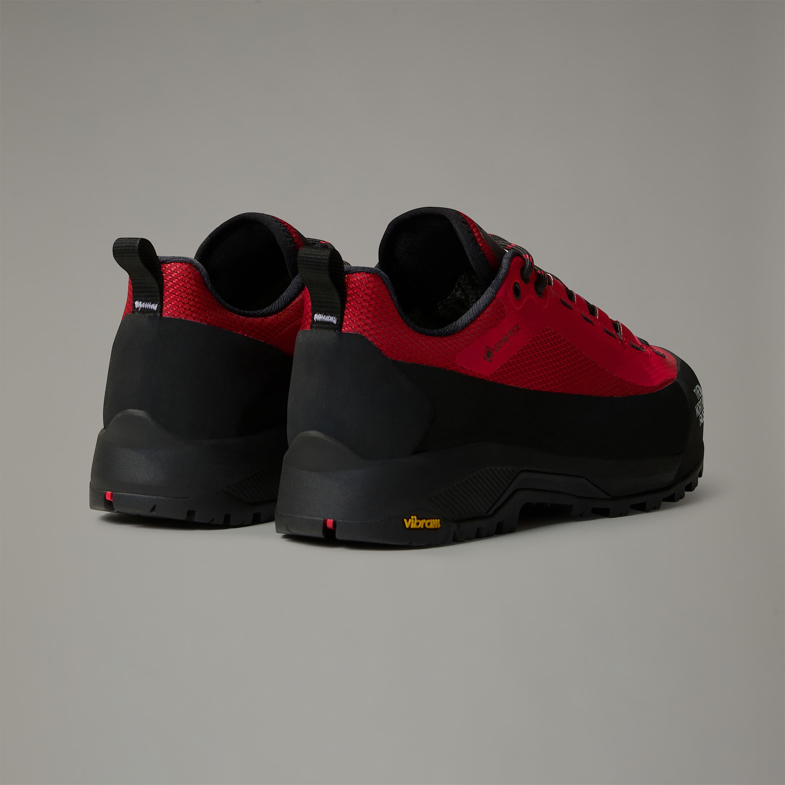 Mens Verto GORETEX Alpine Shoes TNF ALT6