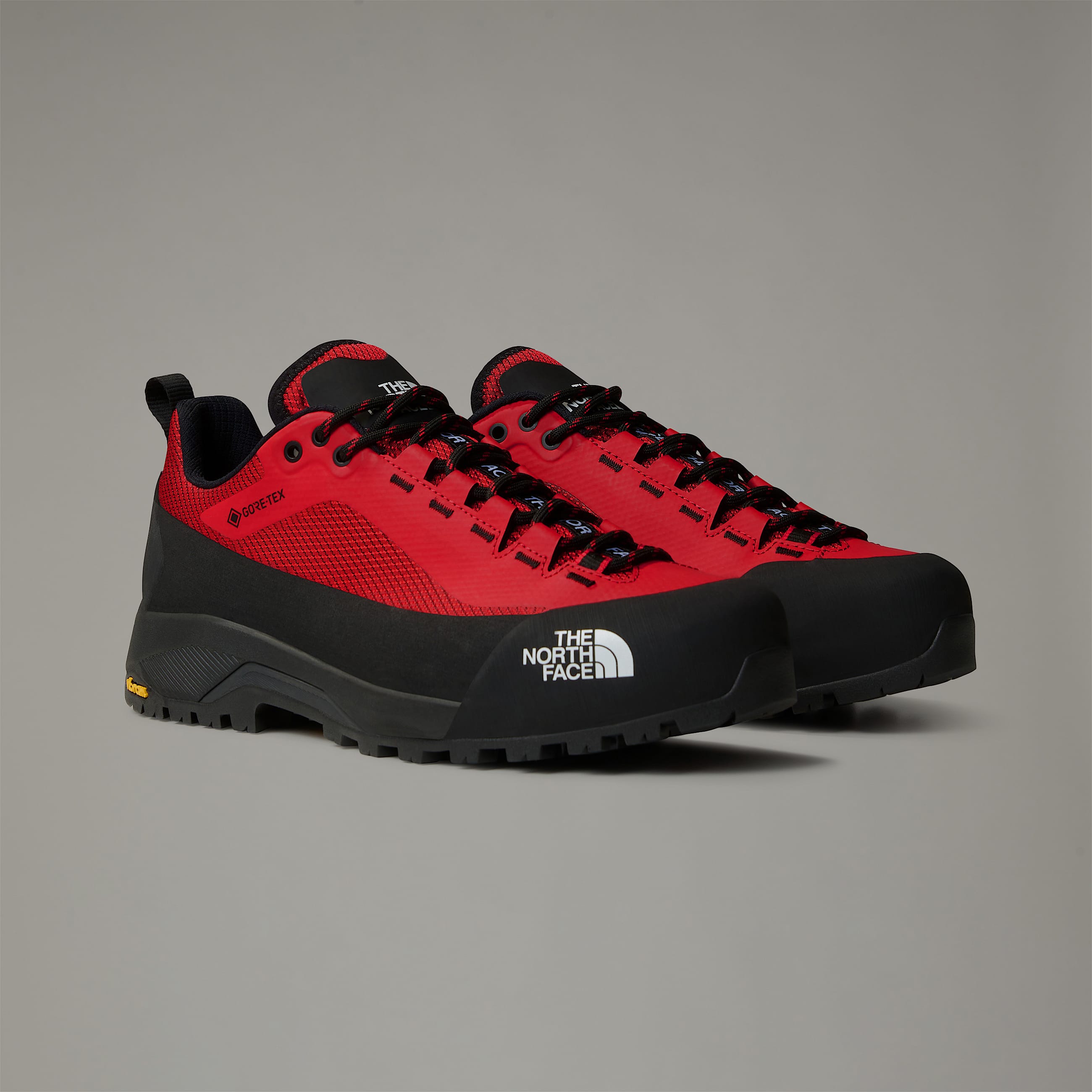 Mens Verto GORETEX Alpine Shoes TNF ALT8