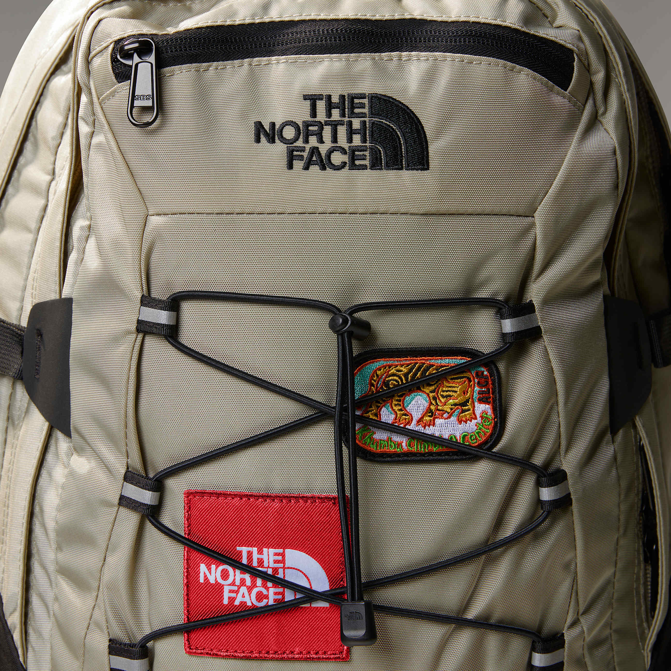 Backpack Classic Borealis TNF ALT3