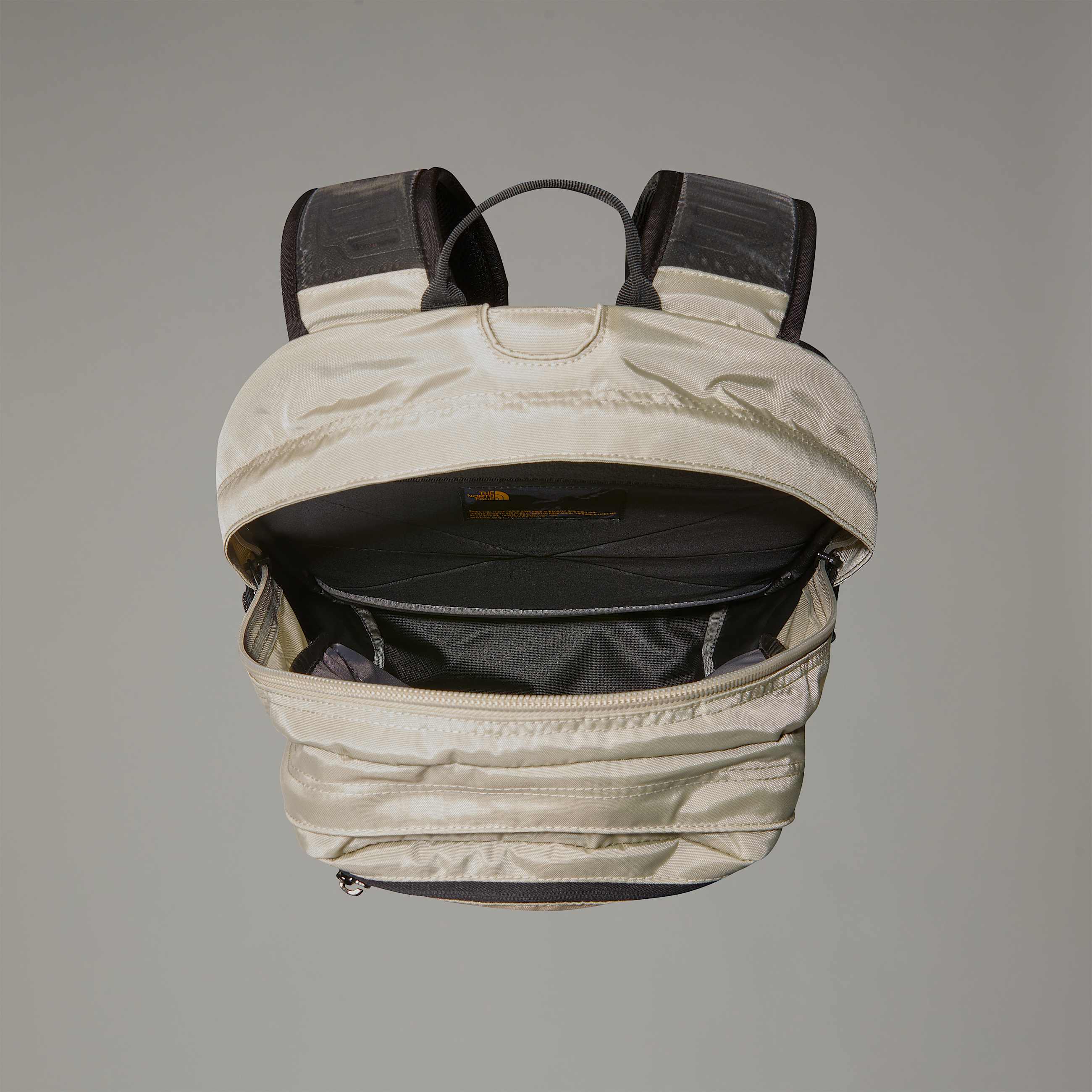 Backpack Classic Borealis TNF ALT4